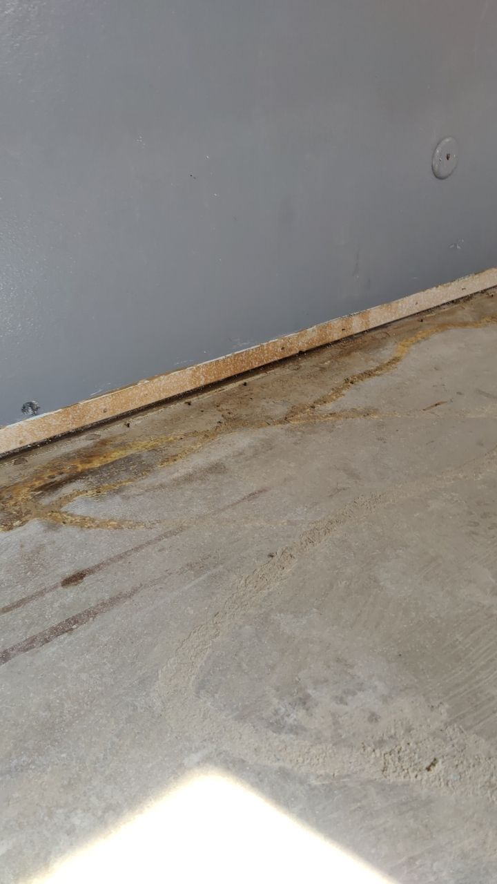 Mold Remediation by Accountable Home Services