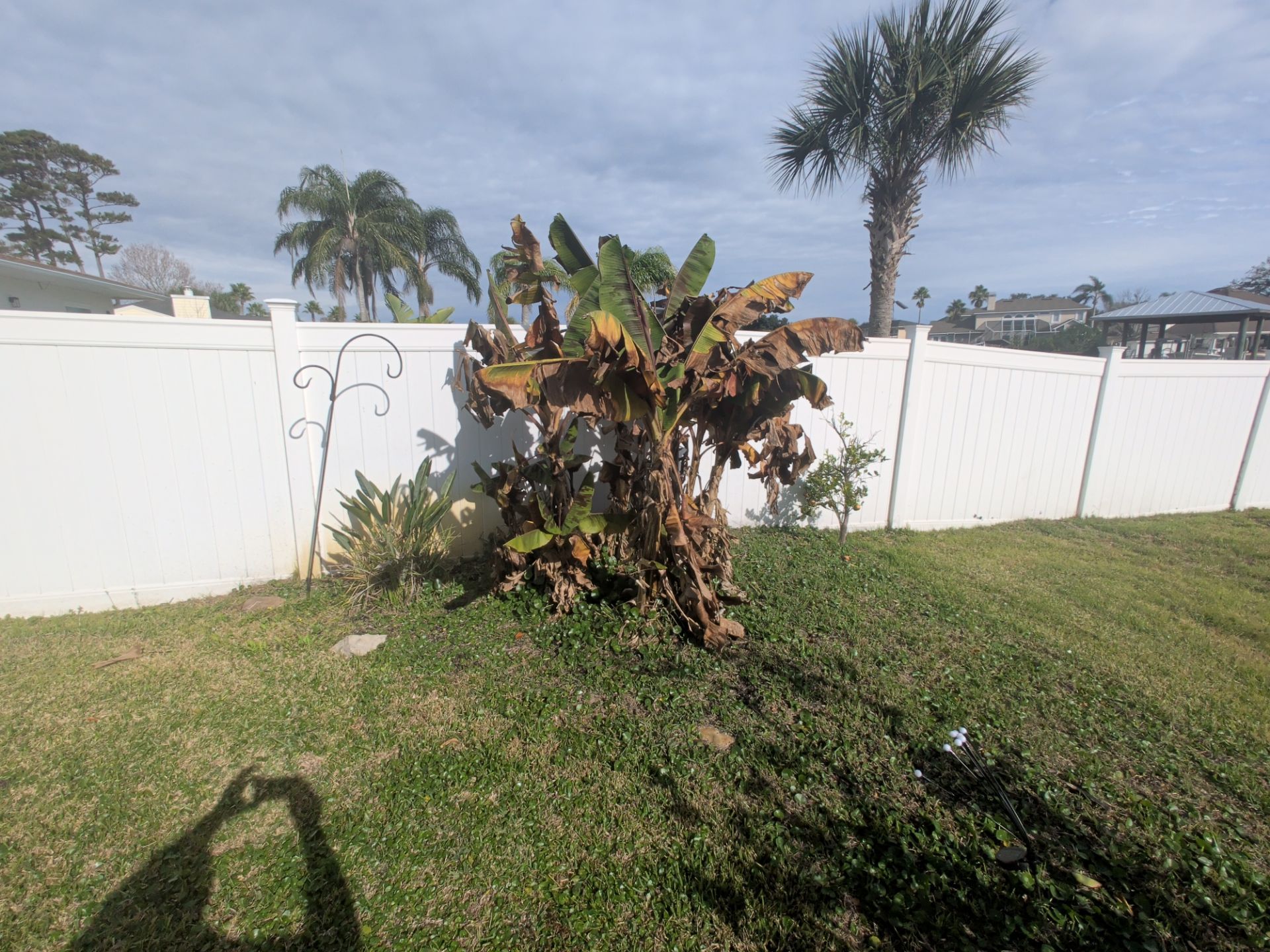 Flower Bed & Property Cleanup San Pablo area — Jacksonville Beaches, FL by Harmoni Home Services