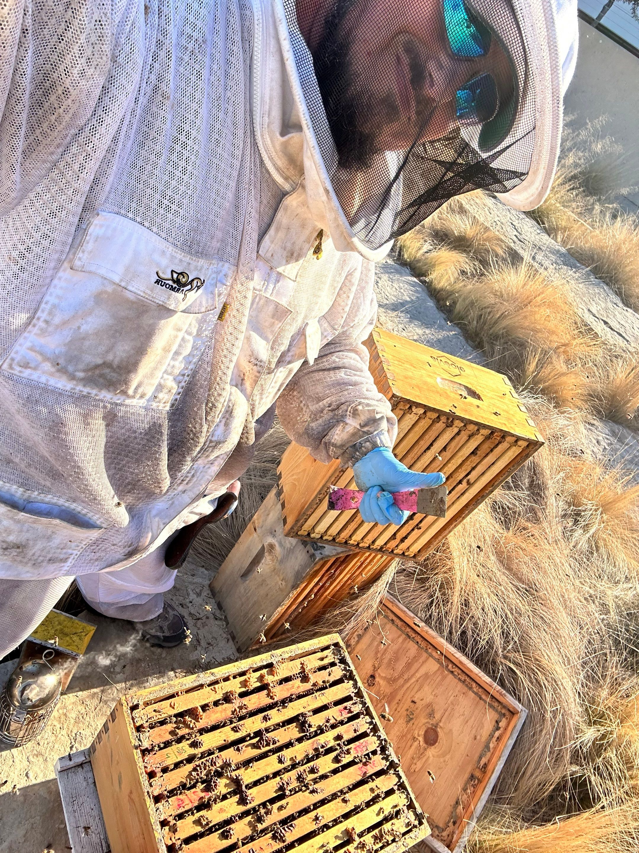 Frisco Corporate HQ by Rockwall Honey Bee Company