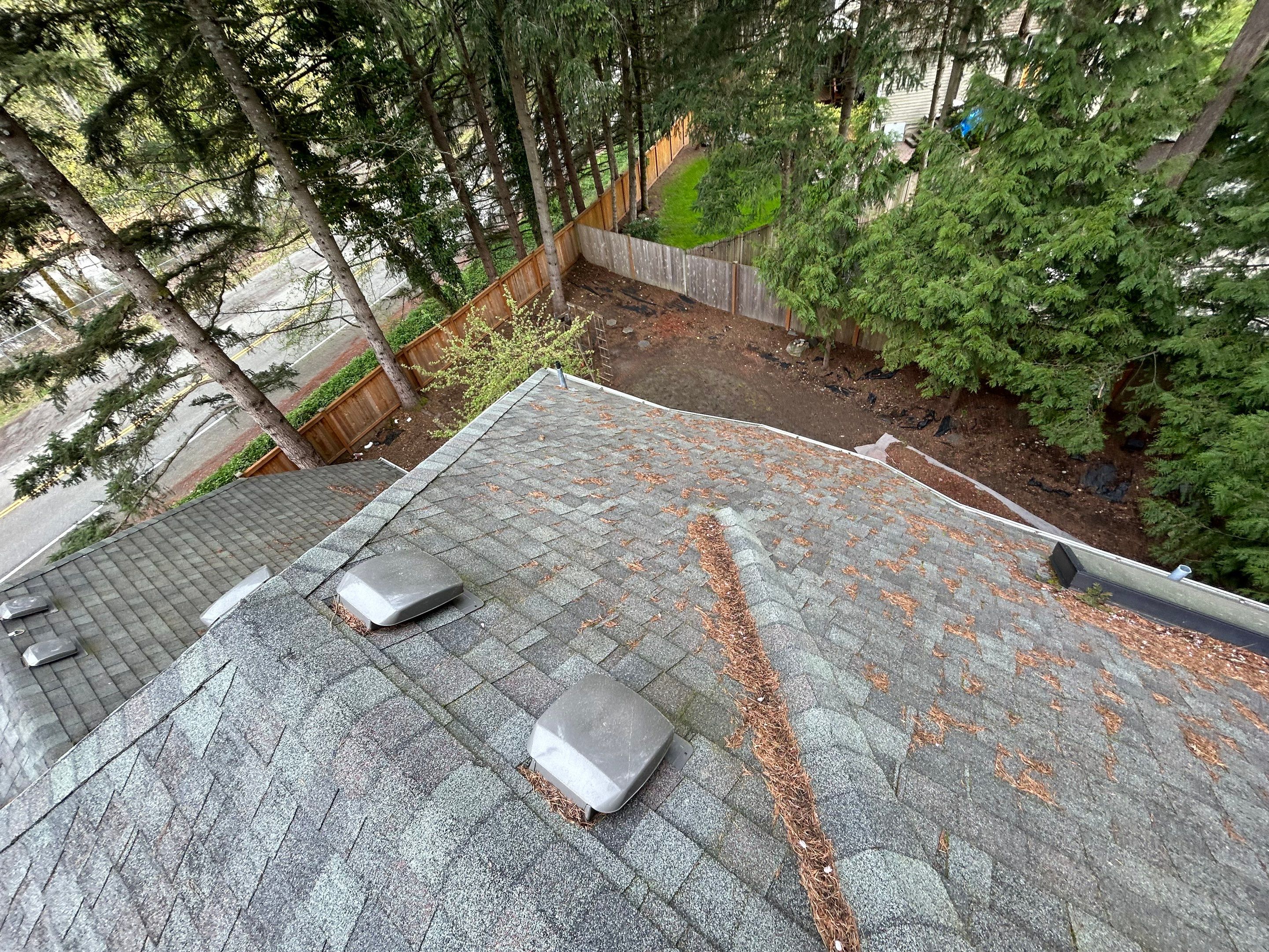 Project in Redmond by Peaks and Valleys Construction