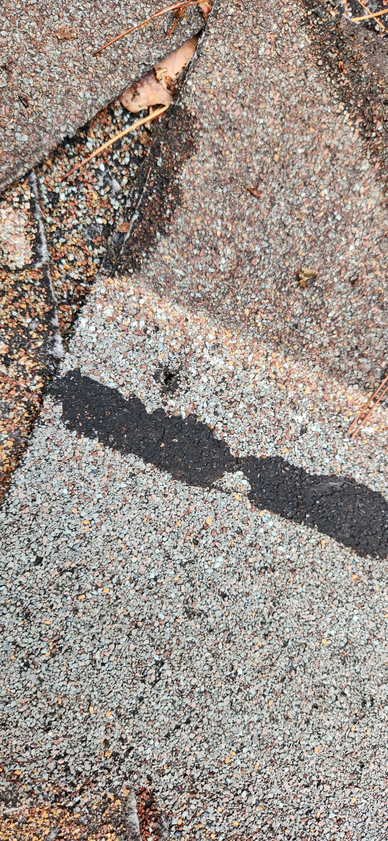 Residential Reroof: 40 Year Impact Rated Architectural Shingles by Hostetler Roofing
