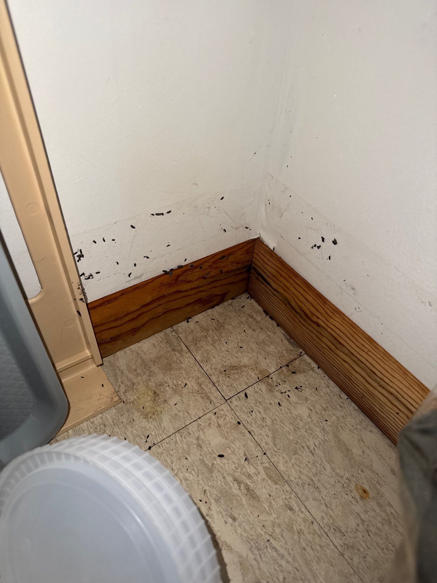 Drain Backup from a Storm by Chicagoland Water Medics