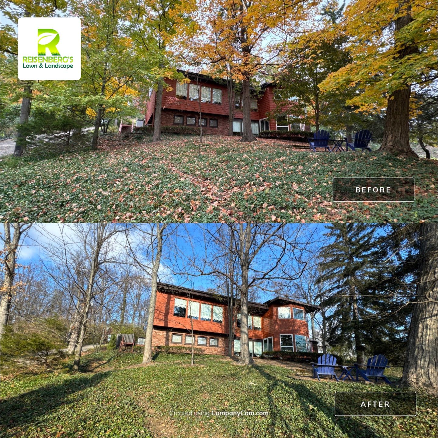 Fall Clean Up & Leaf Removal  by Reisenberg’s Lawn & Landscape, LLC