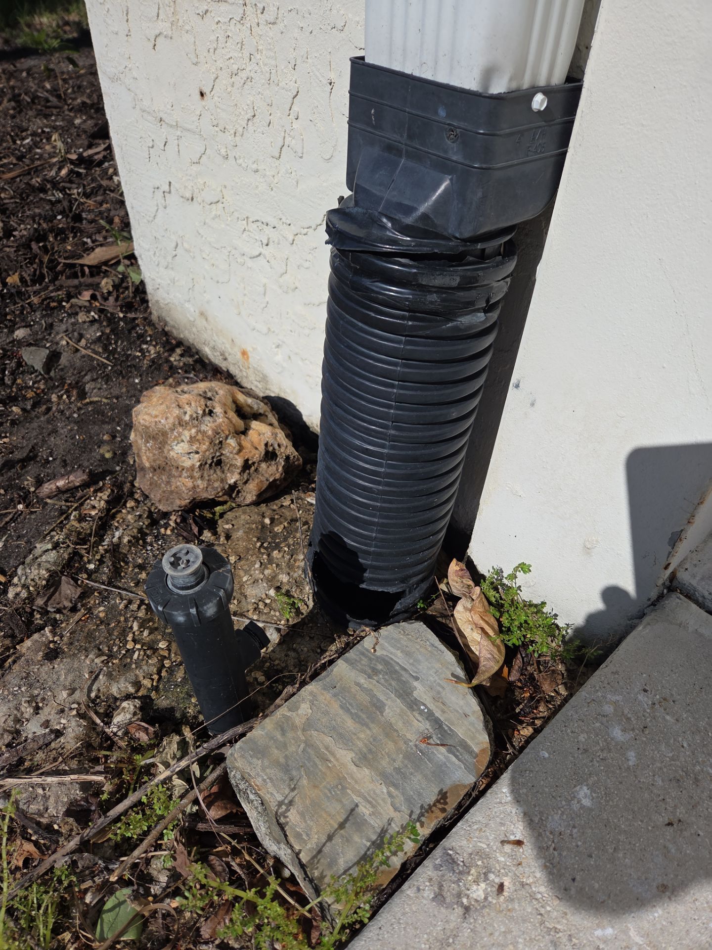 🌴 Landscape Removal and Install in Palm City by Alpha Zeta Enterprises Inc