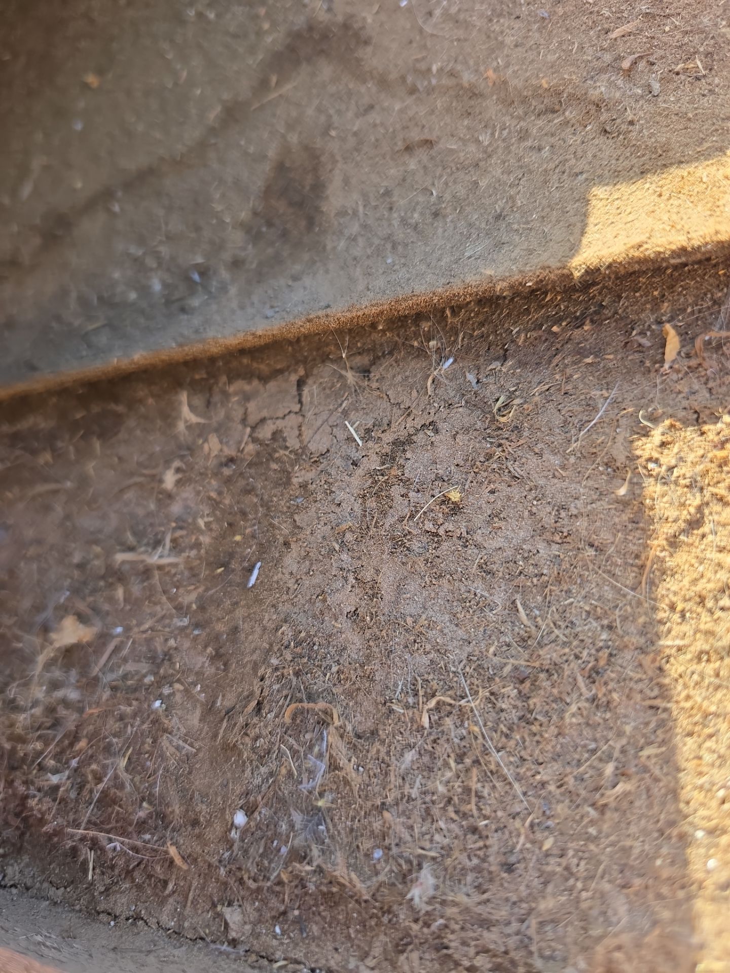 Project in Phoenix, AZ by Showtime Roofing & Coatings LLC