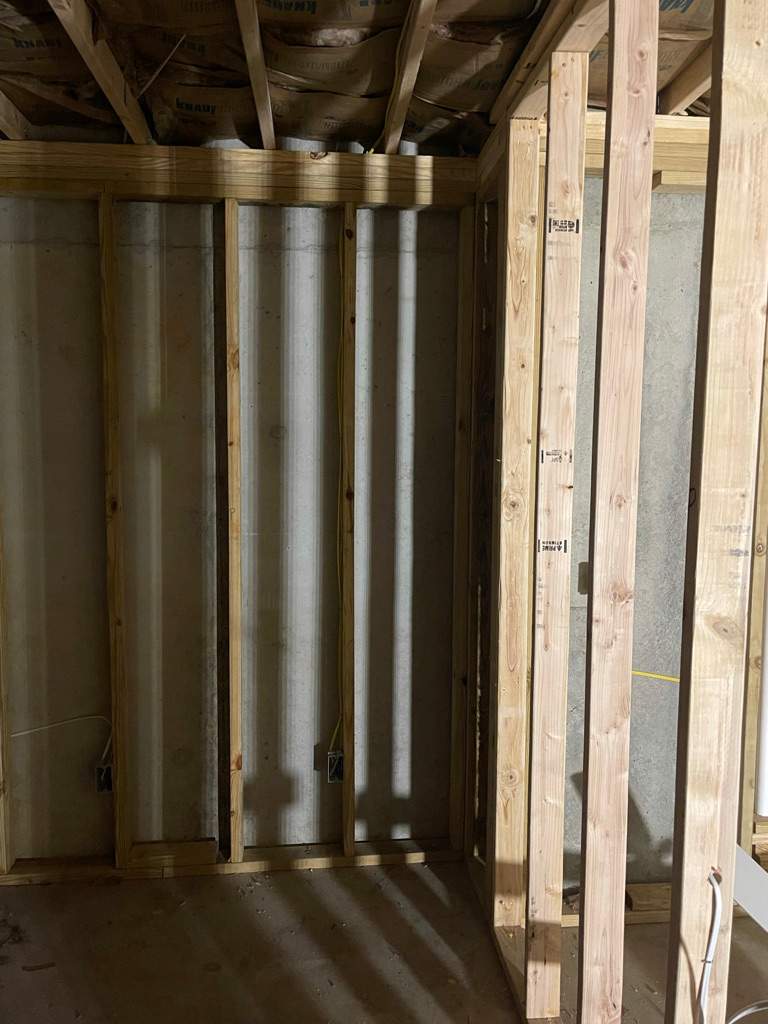 Canyon Cove Basement Build Out by Pillar and Pine