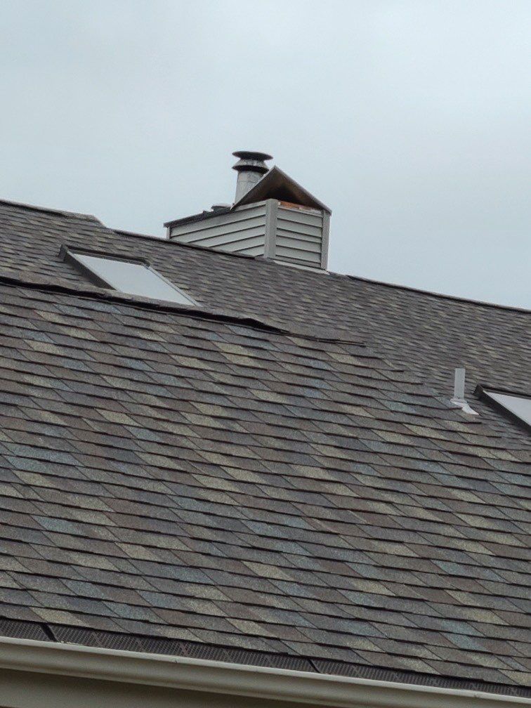 Debbie Matheson by Silver Leaf Contracting 