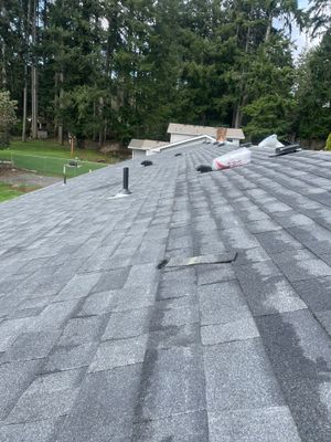 Roof Project in Olympia