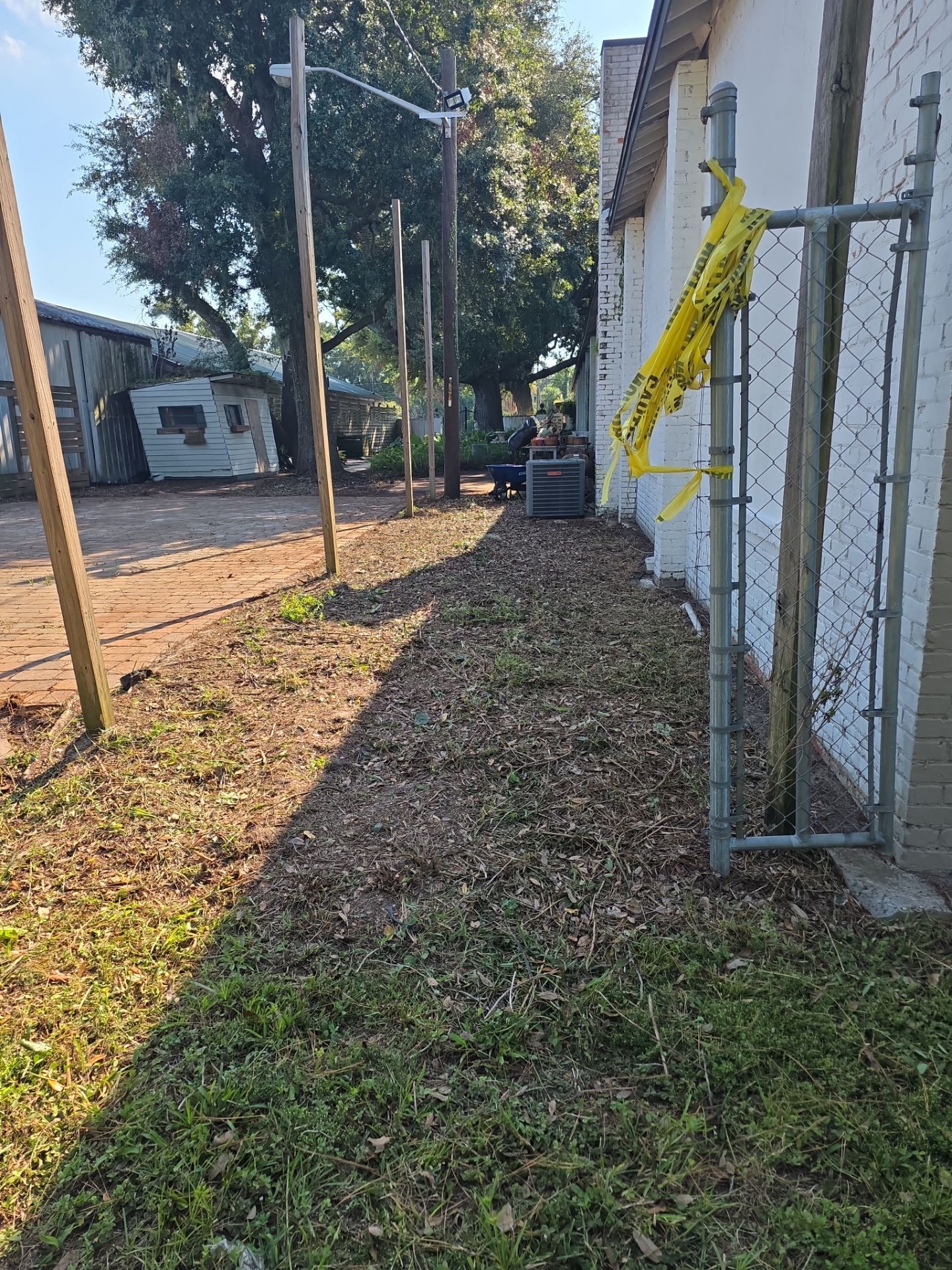 Commercial Property | Clean Up & Tree Removal by ProGreen Services