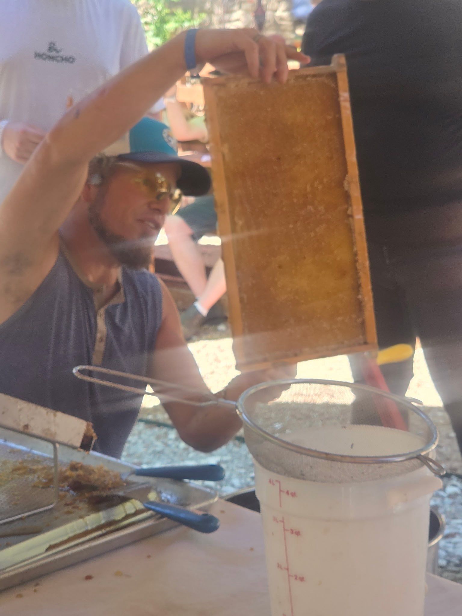 Texas Mead & Music Festival by Rockwall Honey Bee Company