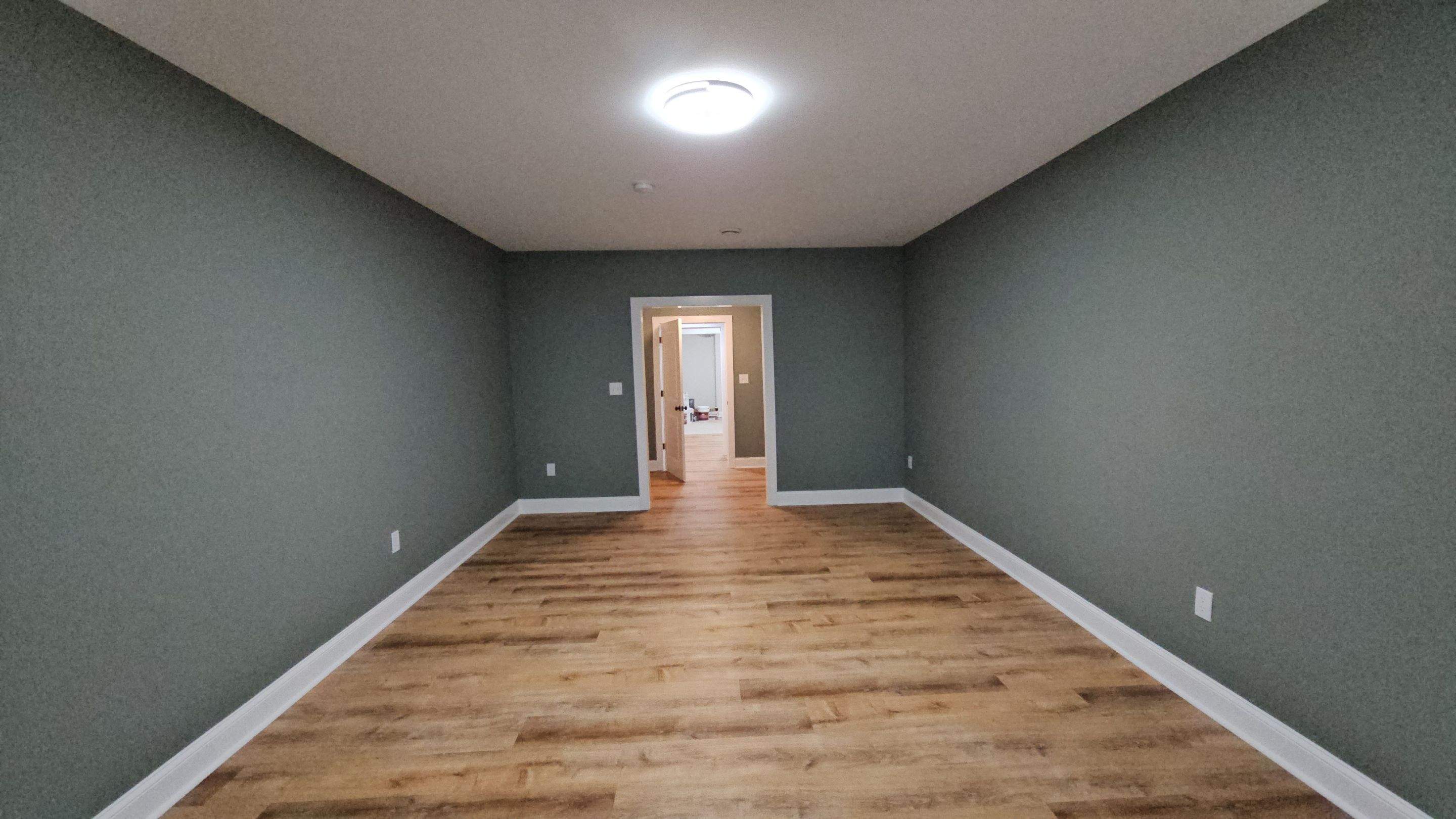 Palmetto Basement by Ajayi Design and Construction 