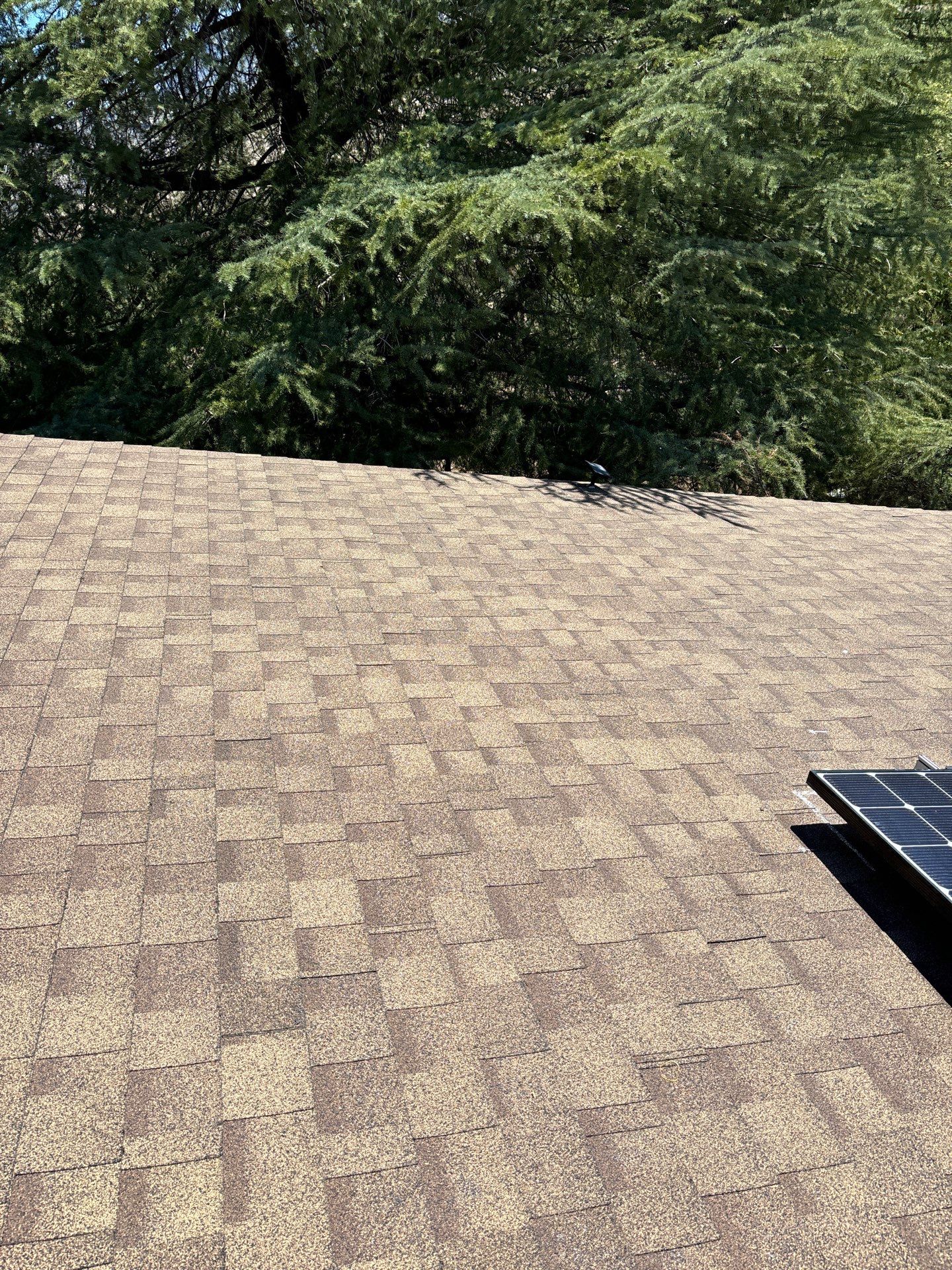 Brownwood Shingles by Reimagine Roofing
