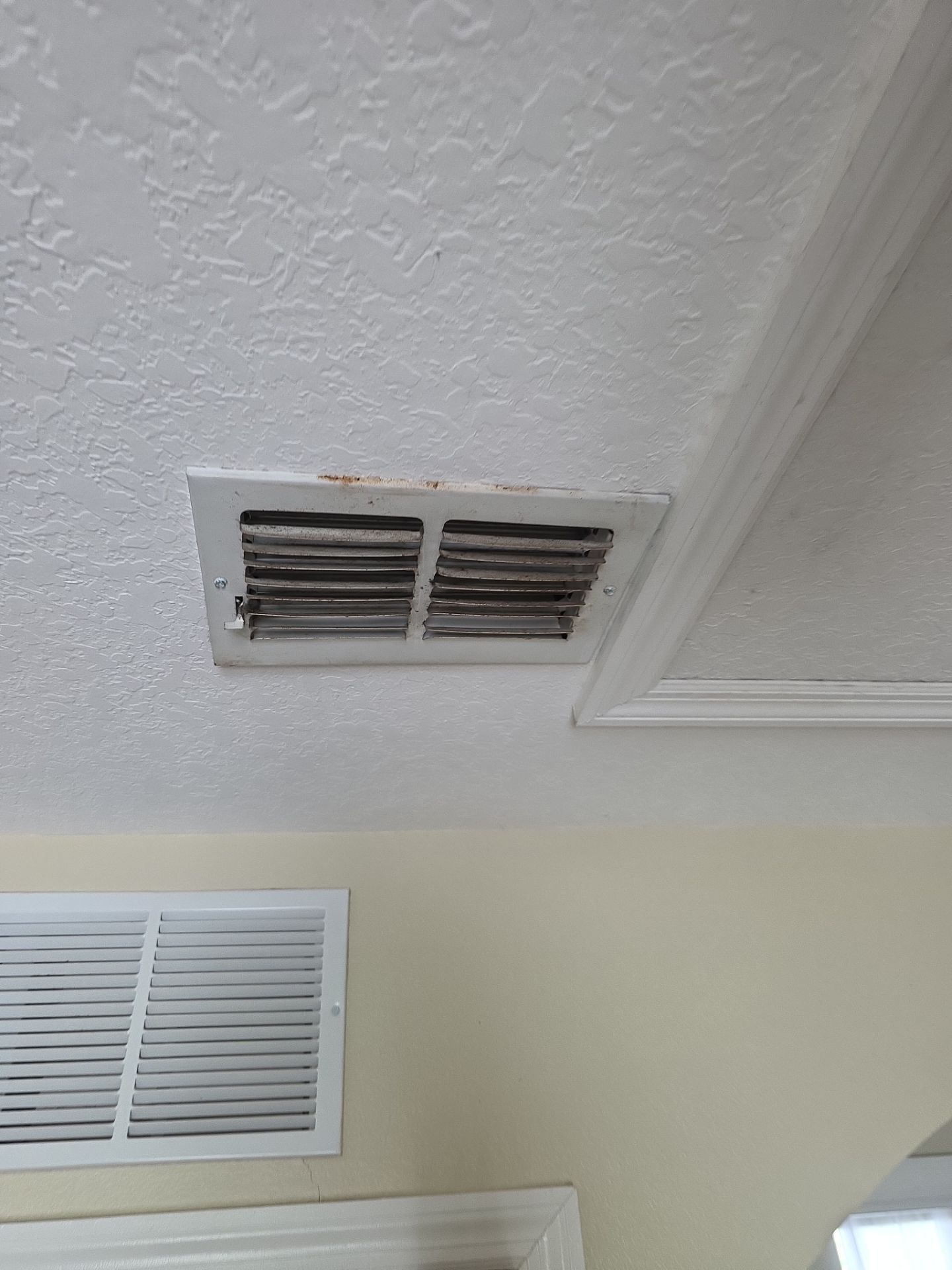 Duct Cleaning in Casselberry by Hygienic Air, Inc