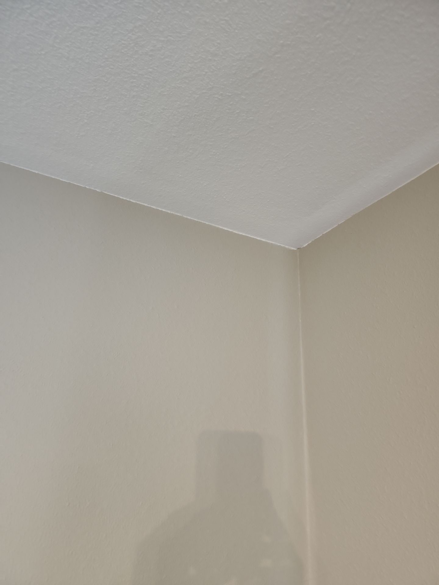 Color Matching/Interior Painting by Gordon Painting