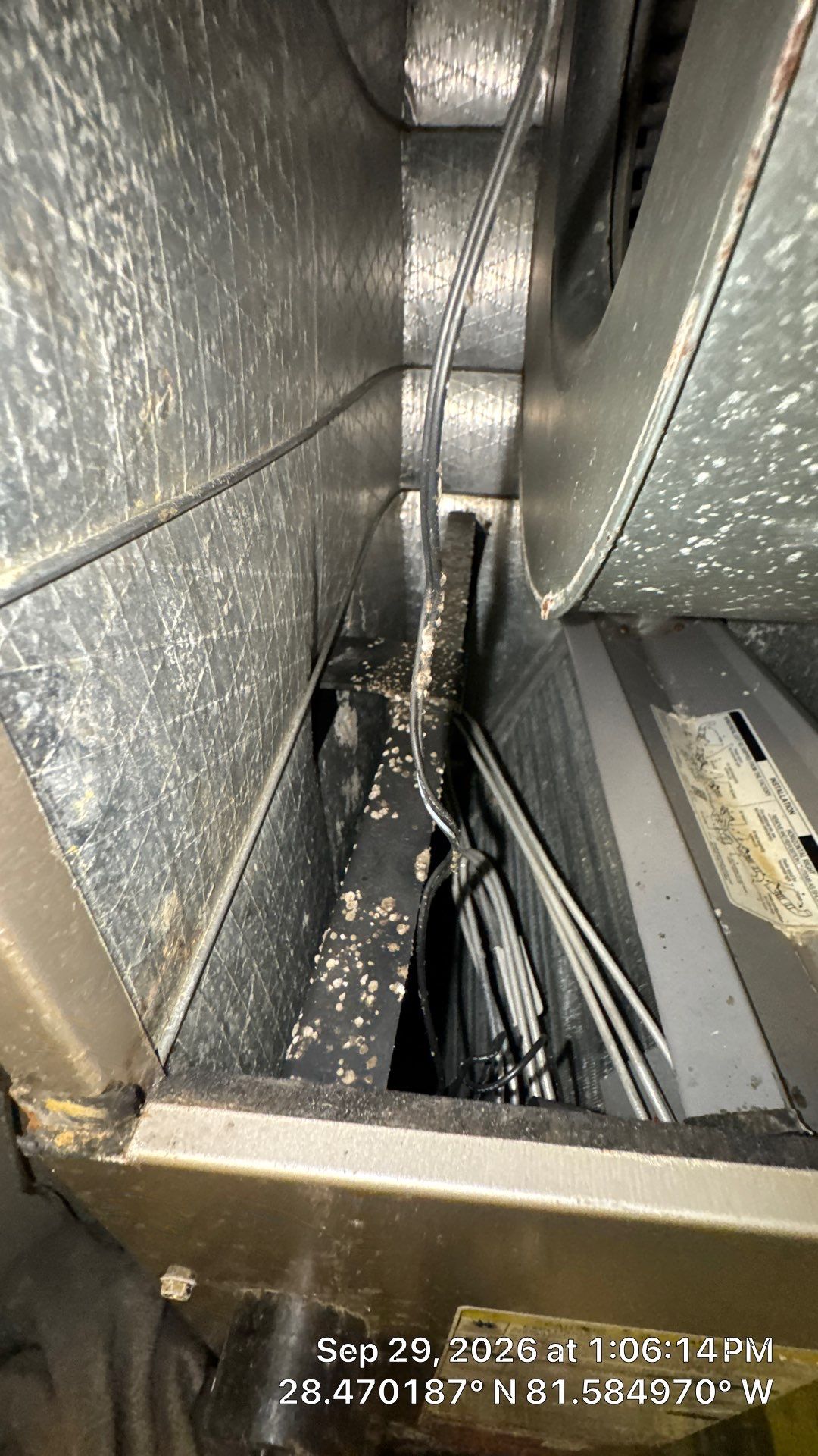 Air Duct & Air Handler Cleaning in Windermere by Hygienic Air, Inc