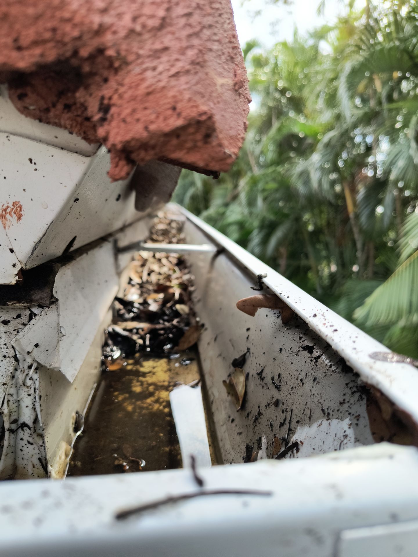 Downspout and Elbow Installation in Bonita Springs FL by Gutter Professors