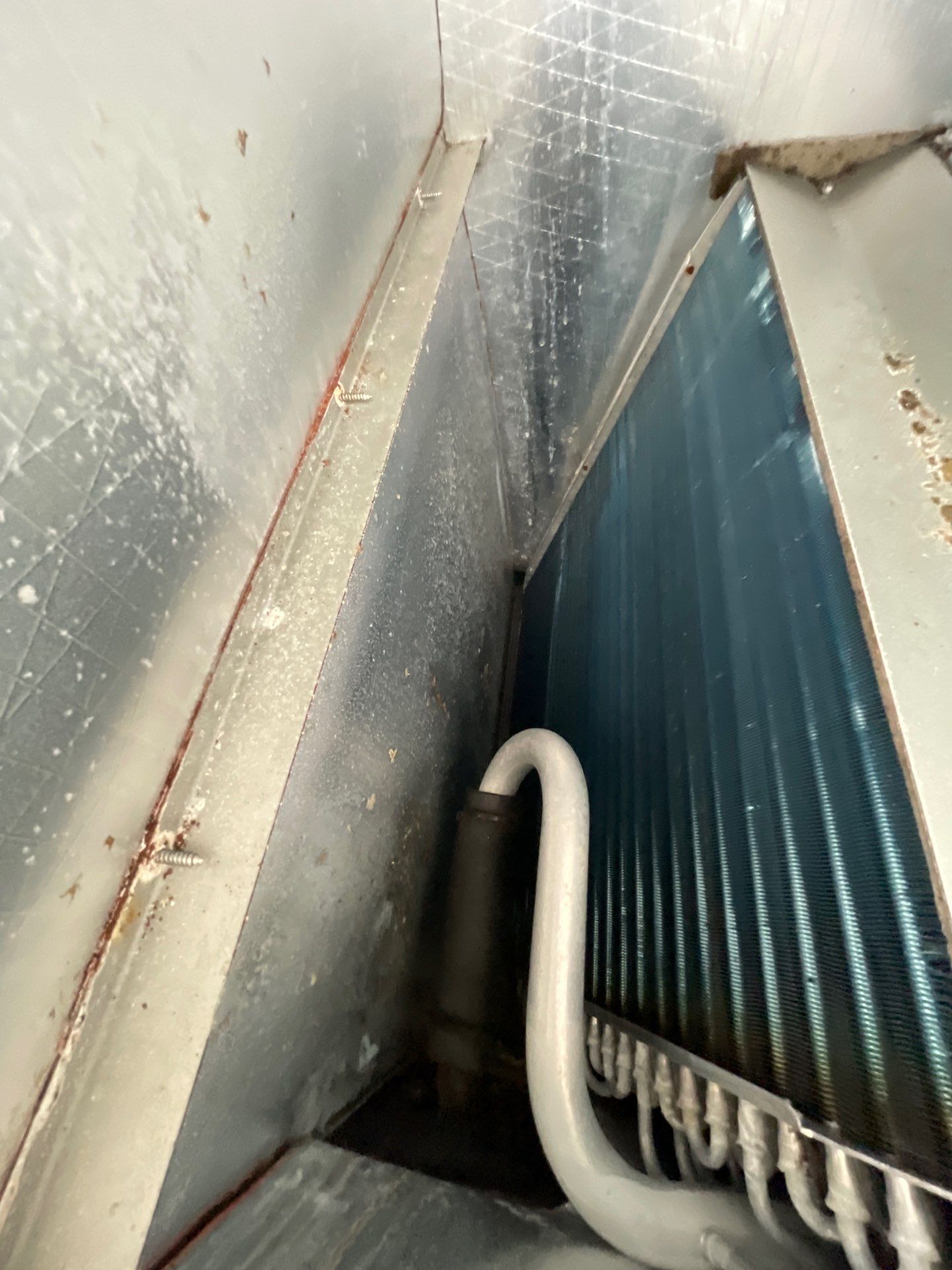 Air Duct Source Removal — Clermont by Hygienic Air, Inc