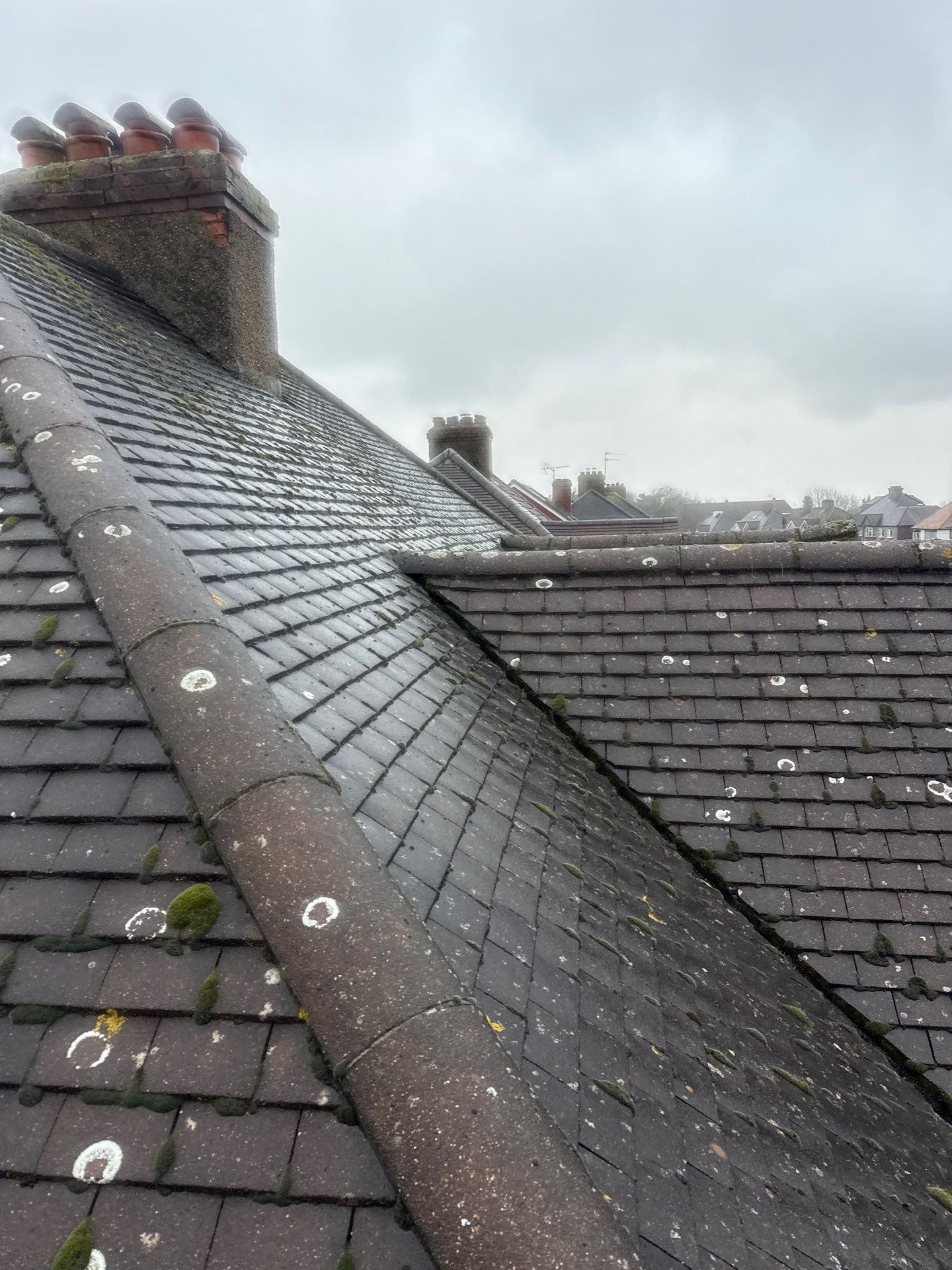 Rood Cleaning Epsom by Ges Exterior Cleaning ltd