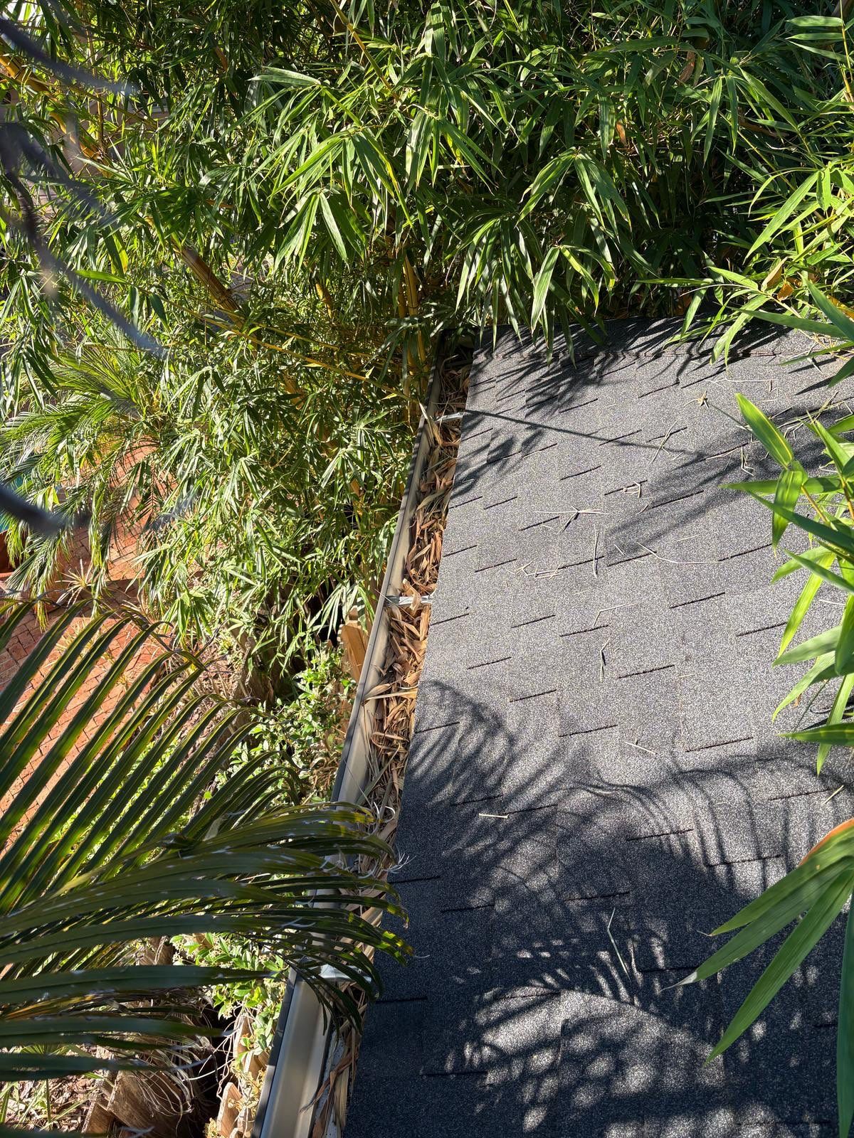 Gutter Cleaning Service in Sarasota FL by Gutter Professors