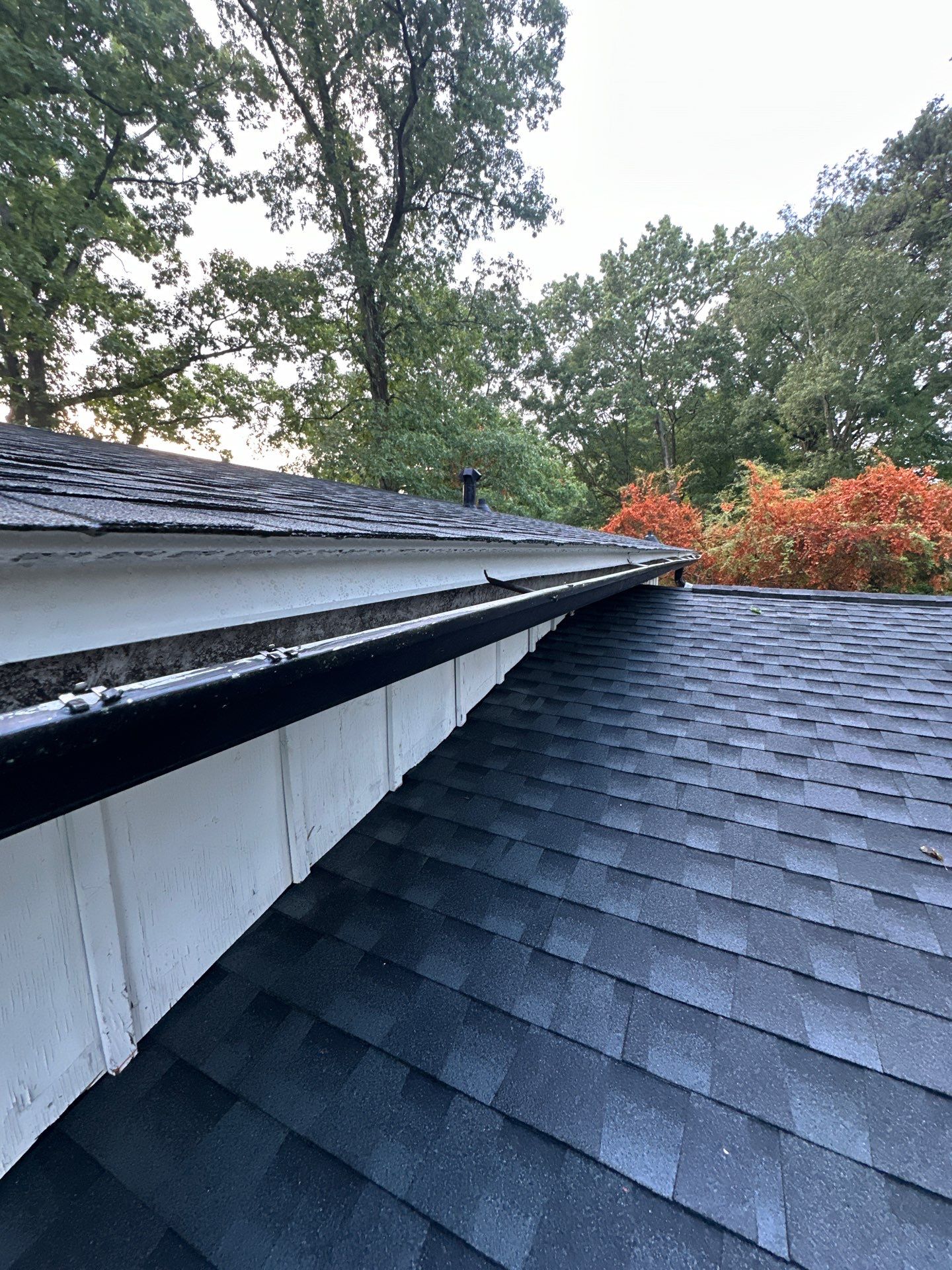 Radical Color Transformation by Georgia Roof Advisors