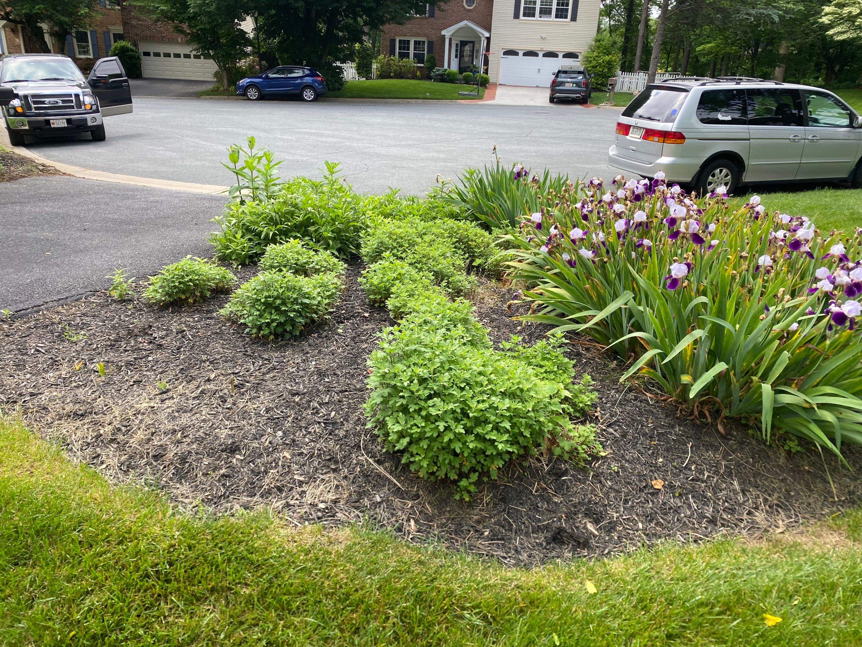 Spring Landscape Cleanup & Mulch by The Smet Companies, LLC