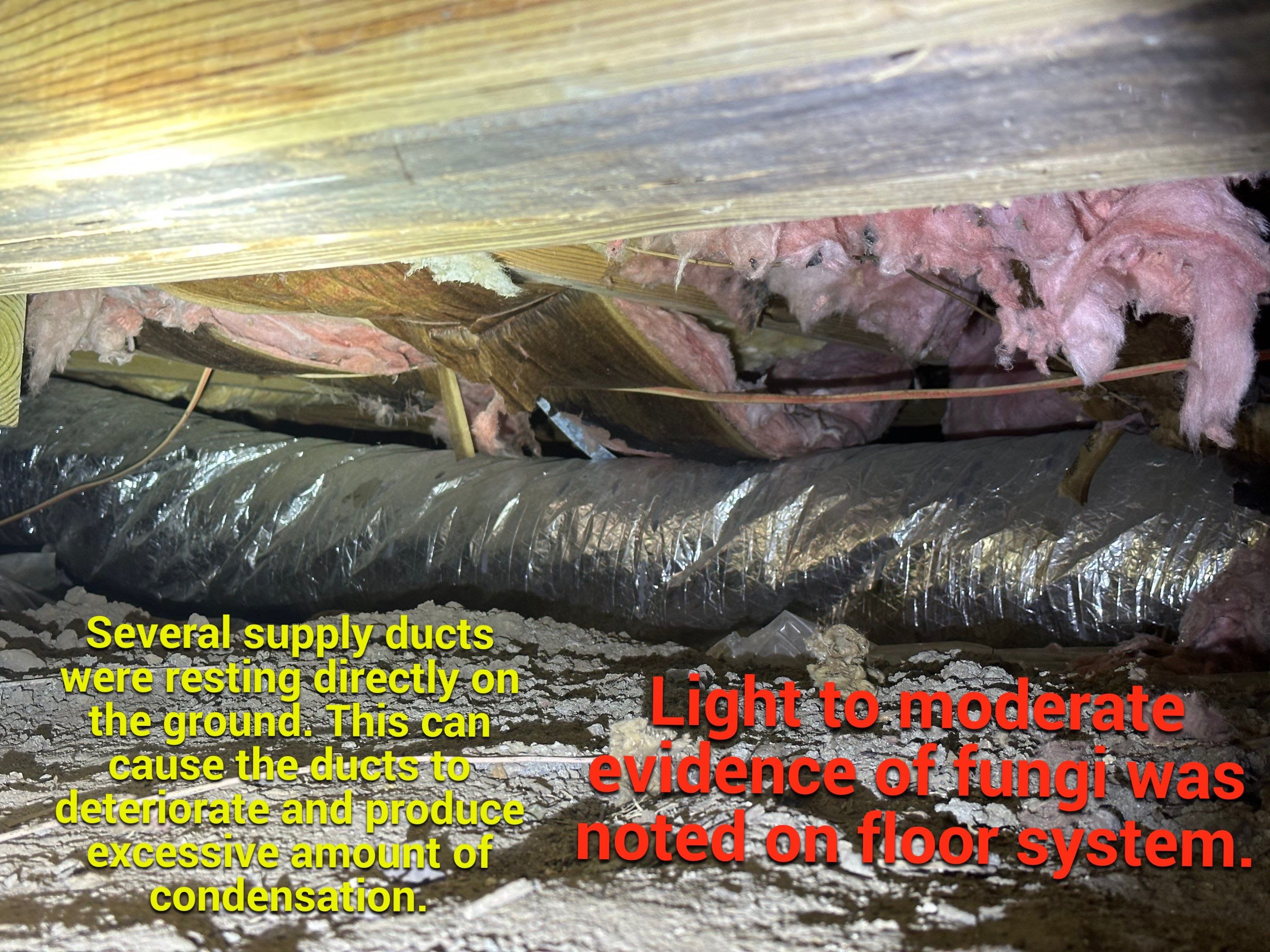 Impact Choice Encapsulation on a low crawlspace. by Impact Crawlspace