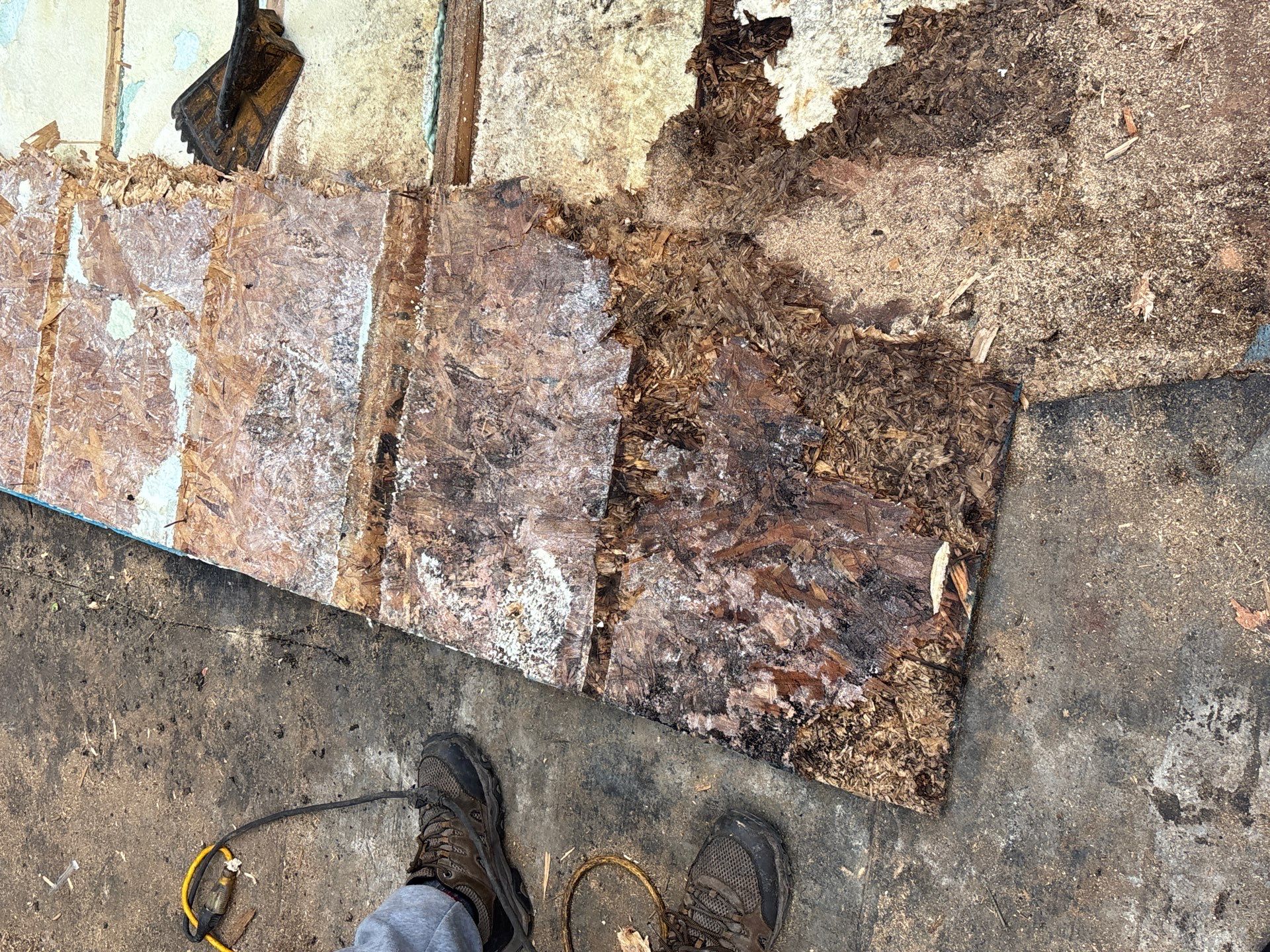 TPO Roof Replacement Project in Philadelphia, Pennsylvania by Philadelphia Quality Roofing