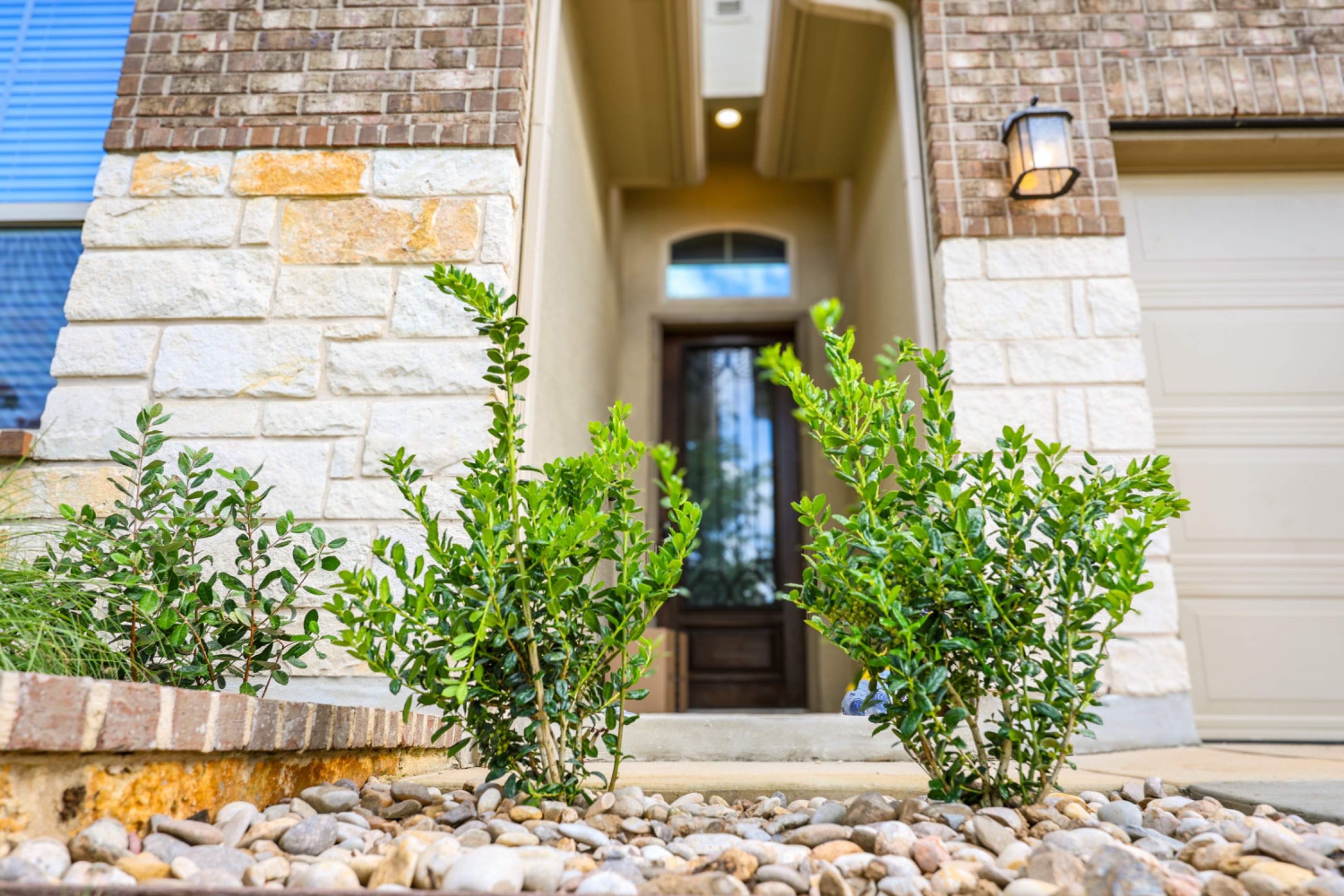 Wortham Oaks - San Antonio, TX by Hole In One Lawns, LLC
