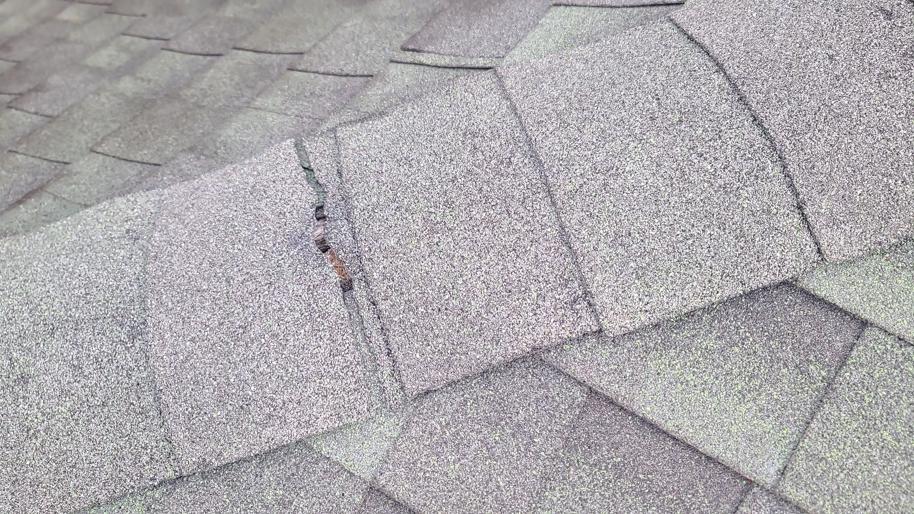 Residential Shingle Reroof using Malarkey Vista by Hostetler Roofing