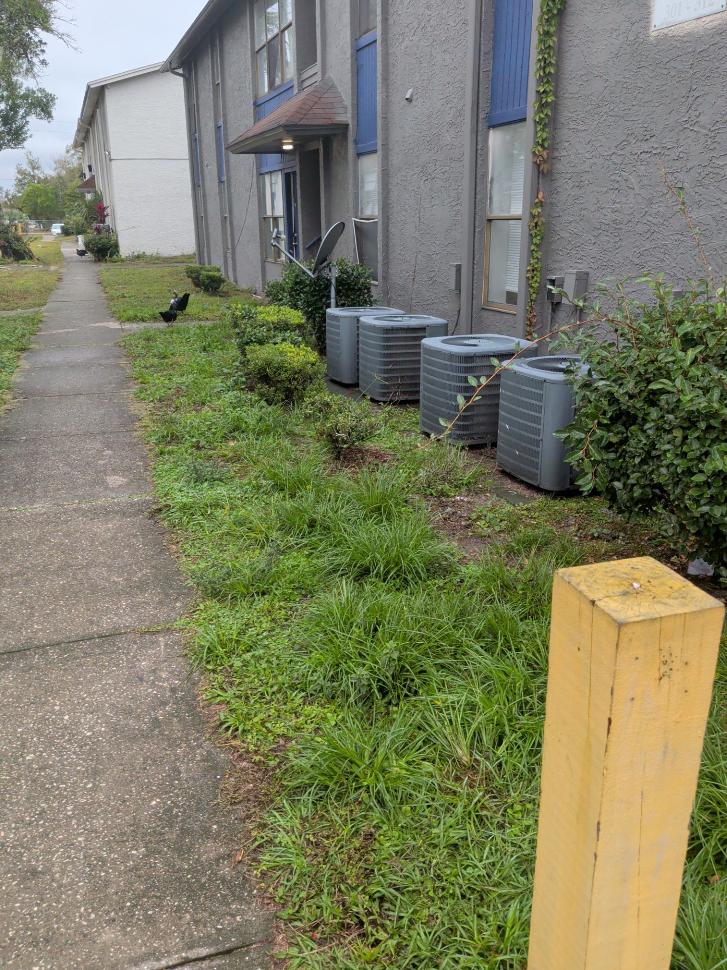 Commercial Landscape Cleanup & Weekly Maintenance — Grassy Pond Apartments by Harmoni Home Services