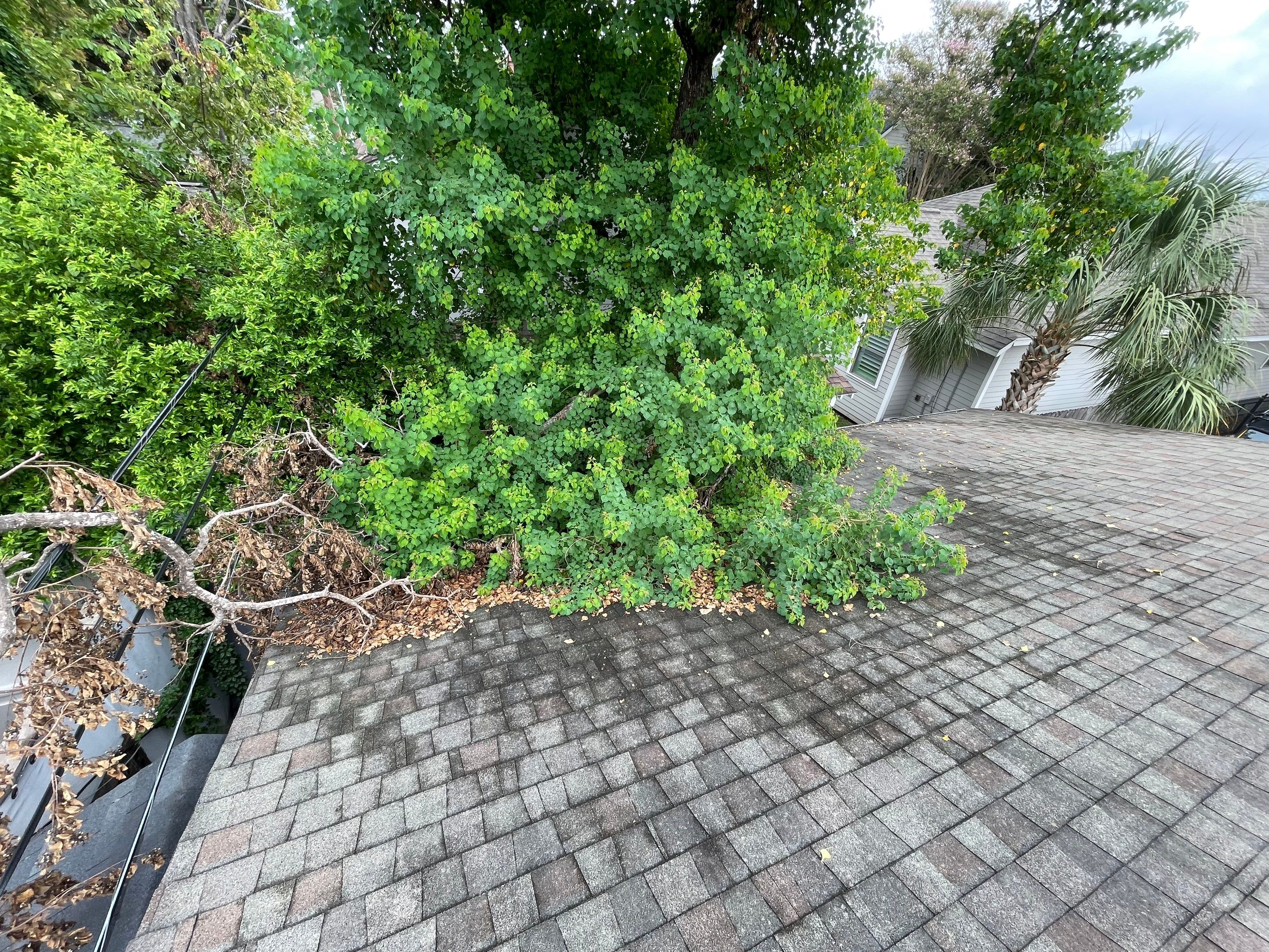 Houston Residential Roof Replacement Featuring GAF HDZ Shingles in Pewter Gray by Houston Roofing & Construction