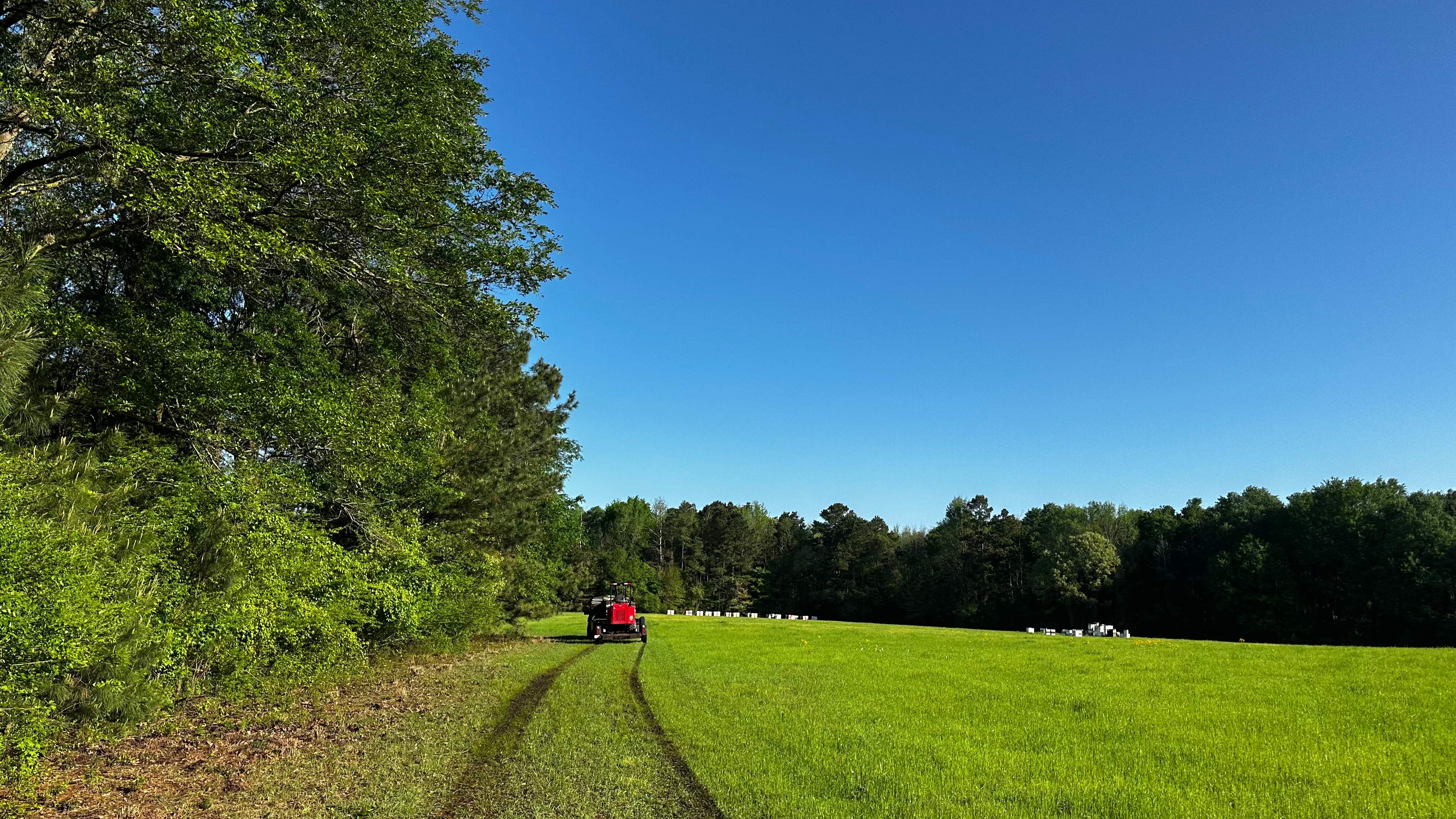 Traylor's Hay Meadow Apiary by Rockwall Honey Bee Company