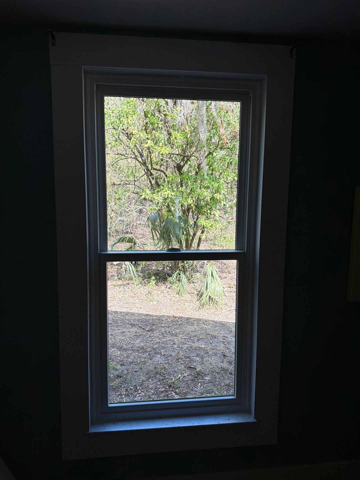 Project in Micanopy, FL by Windows & Doors Store