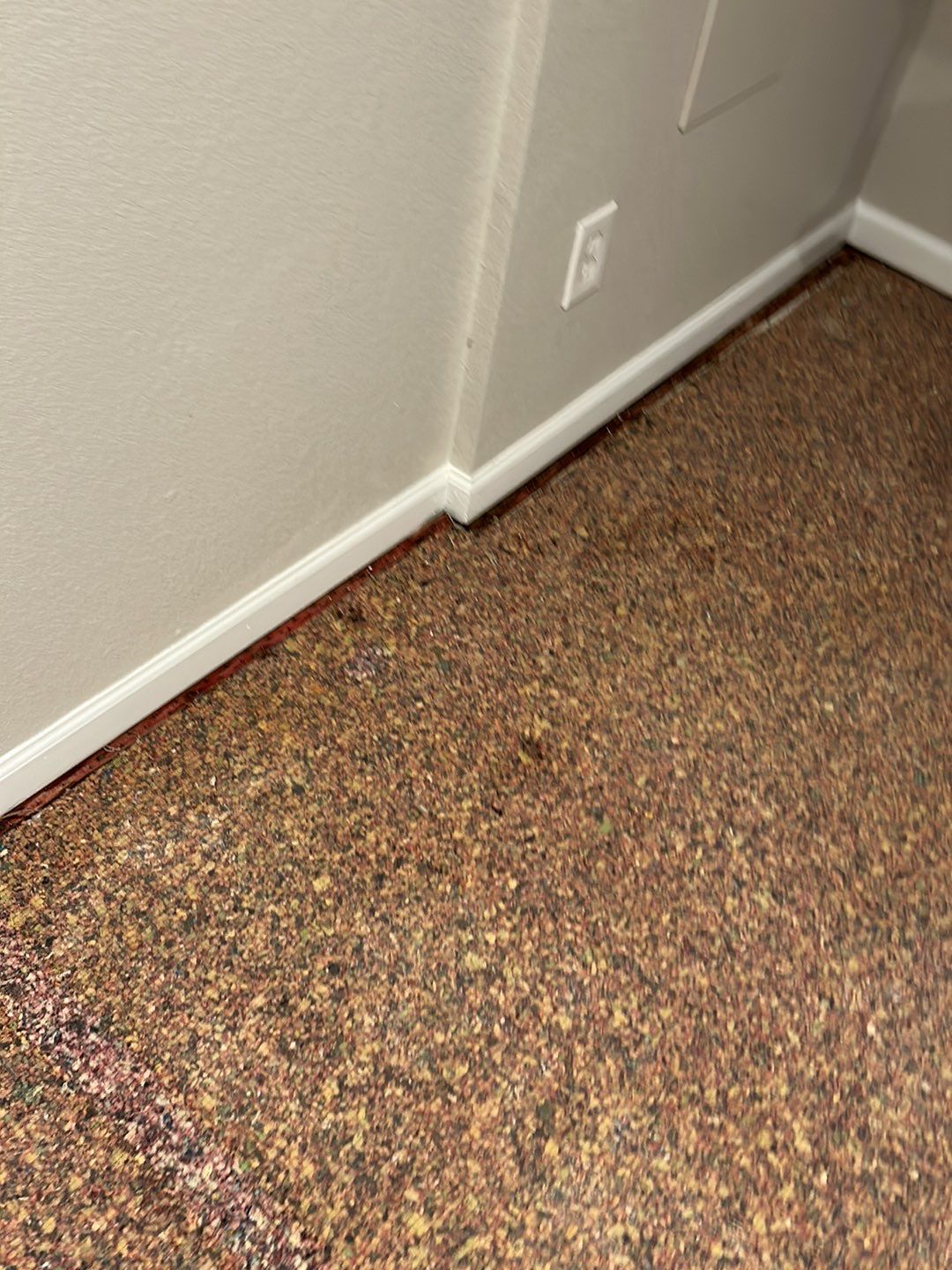 Water Damage by Accountable Home Services