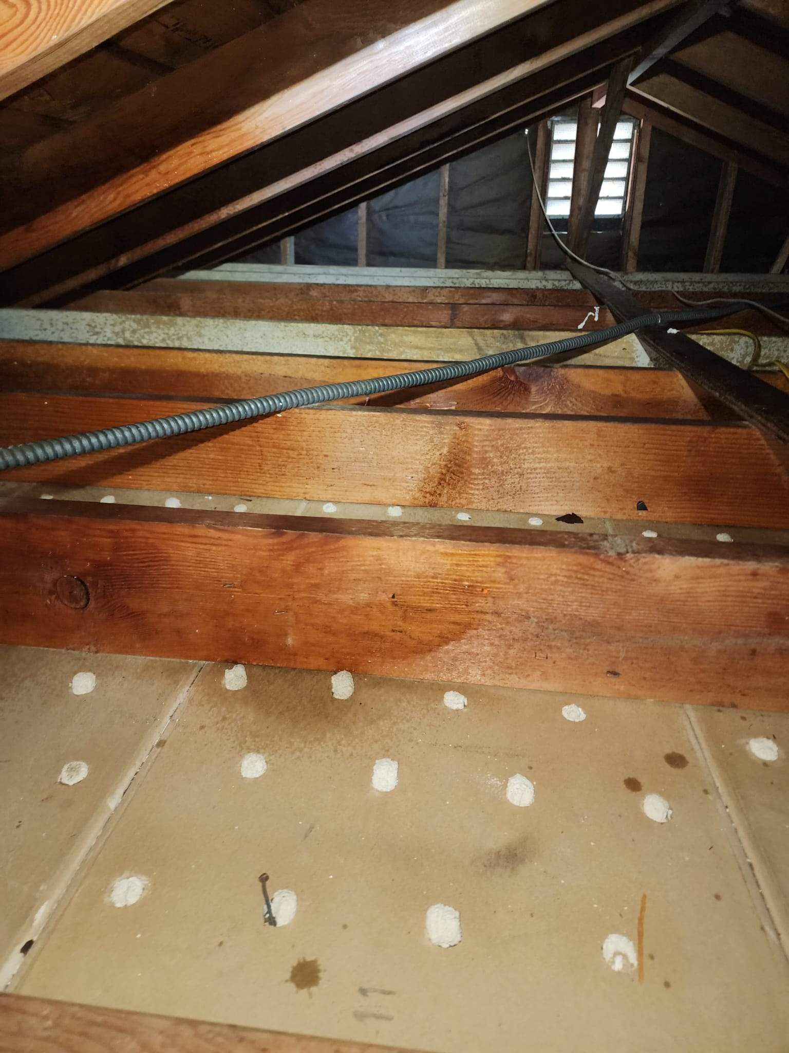 Project by Advanced Attic Solutions by Advanced Attic Solutions