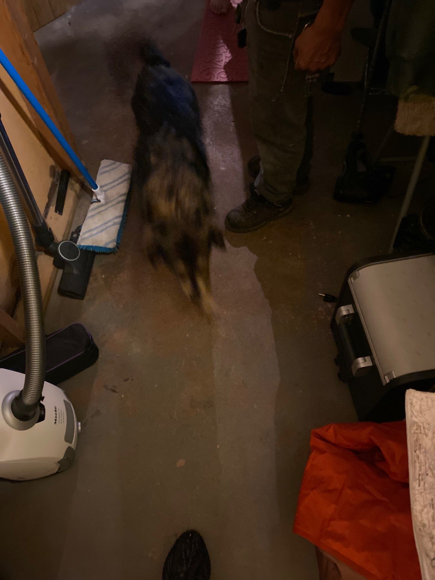 Bathroom Transformation – From Empty Space to Dream Bathroom by Johnny Five Construction 