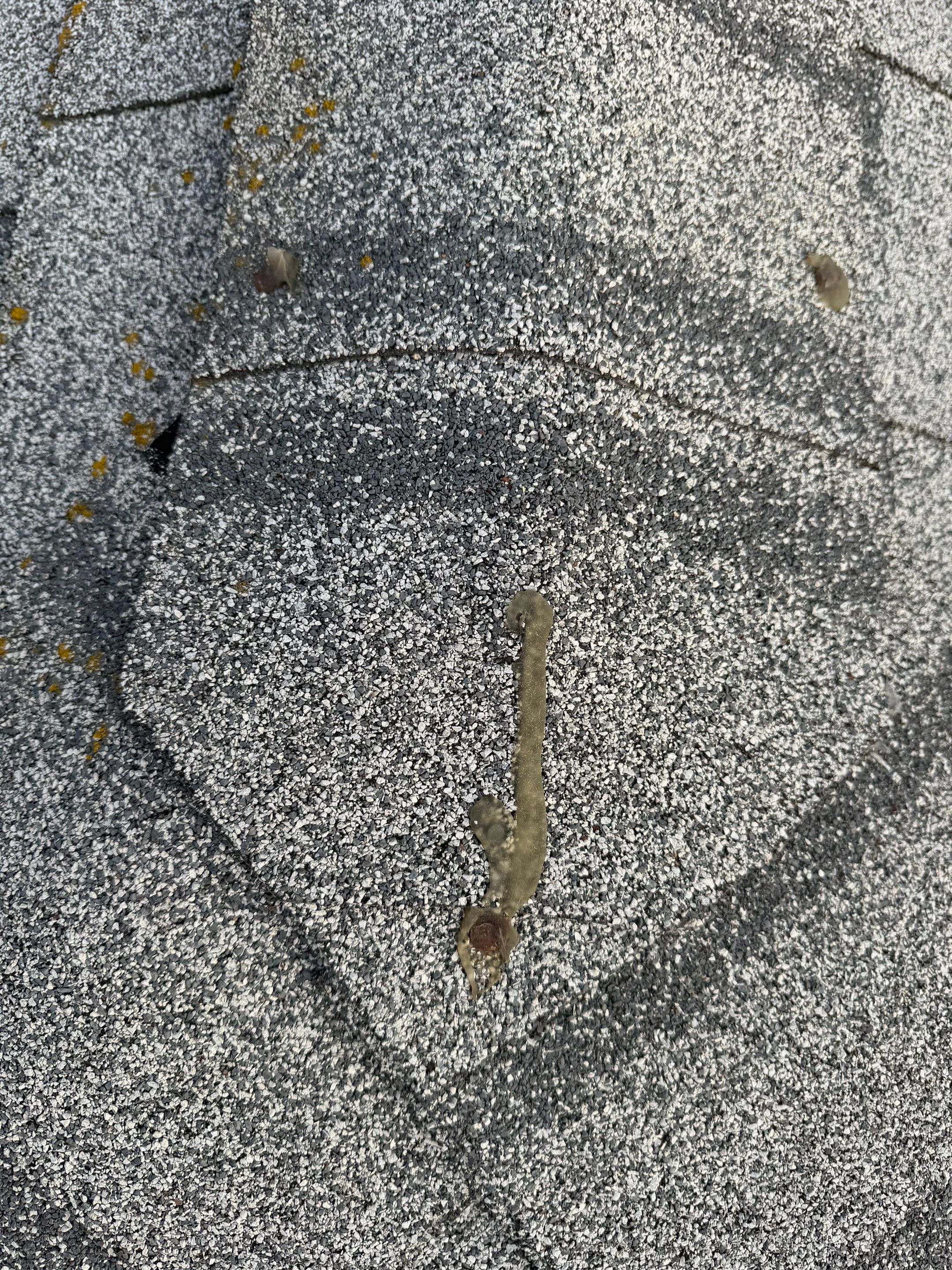 Roof, Siding, Door by BN Covered Exteriors