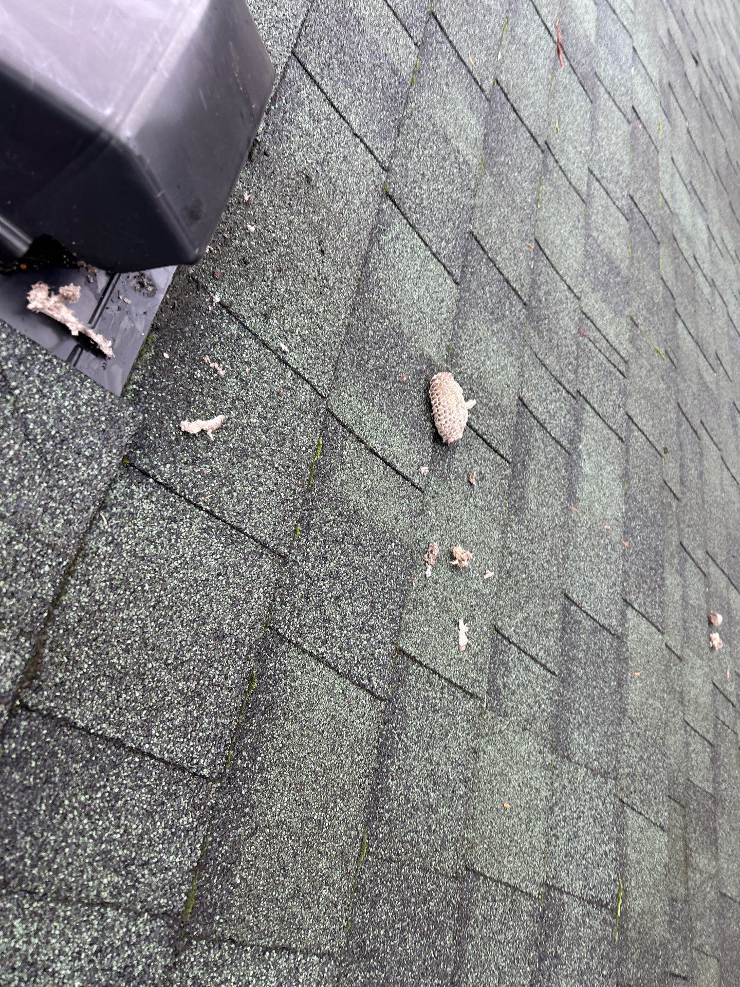 Project in Snohomish by Connolly Construction Company