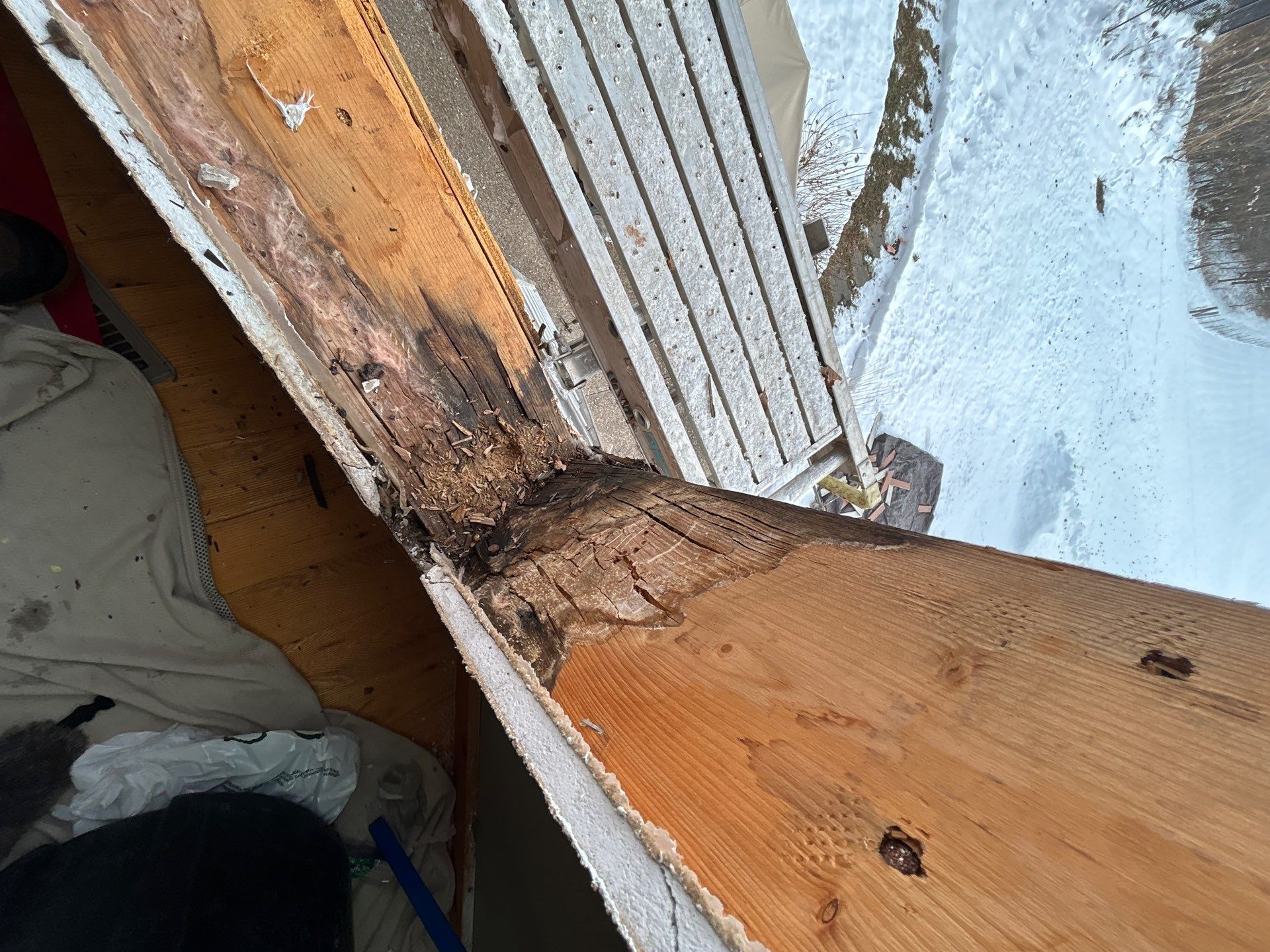 Warm Interior Style with a Durable Exterior: Pella Lifestyle Window Upgrade by United Windows and Siding LLC