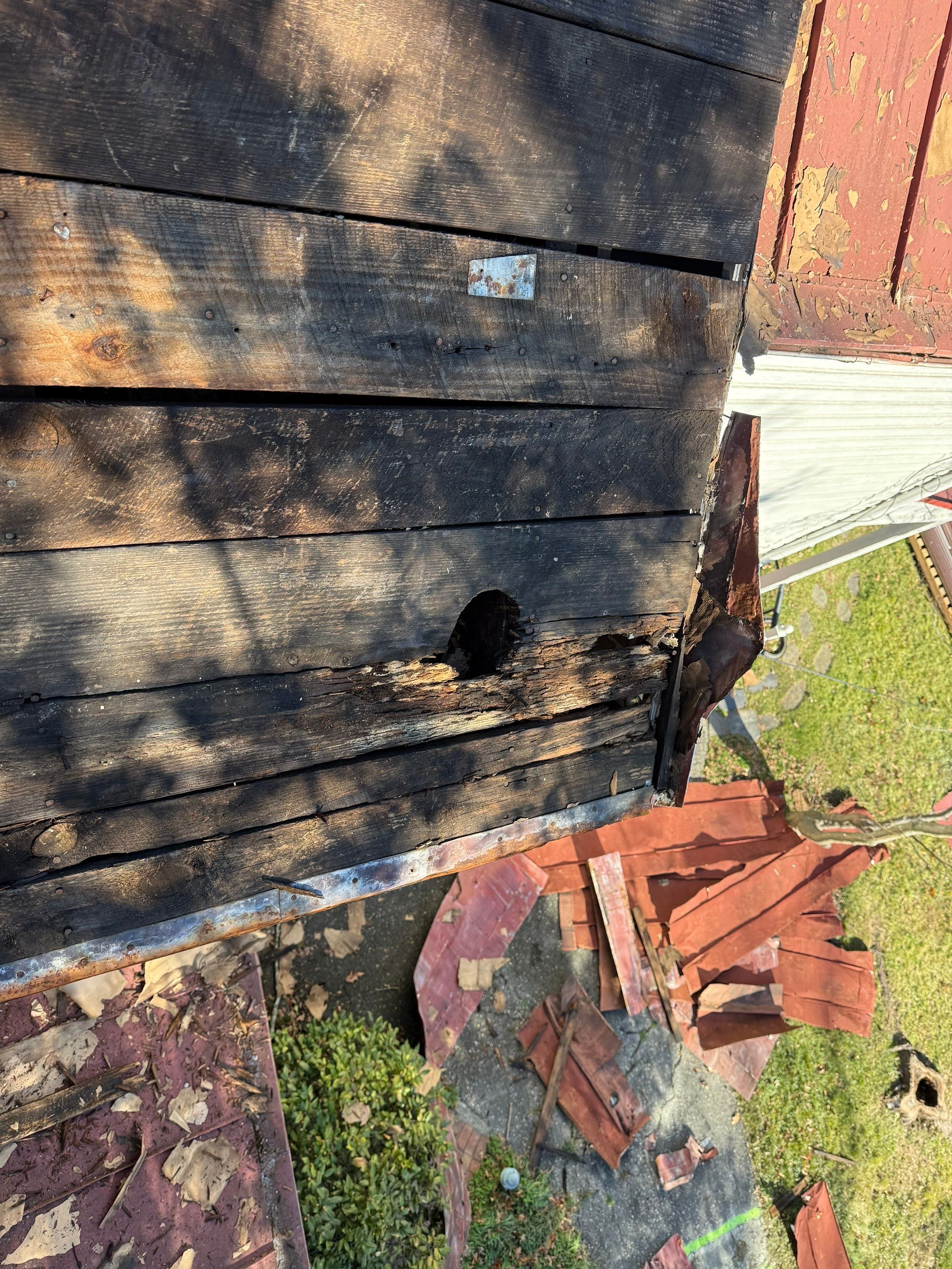 Alexandra: Residential Metal Roofing  by RM Banning, Inc.