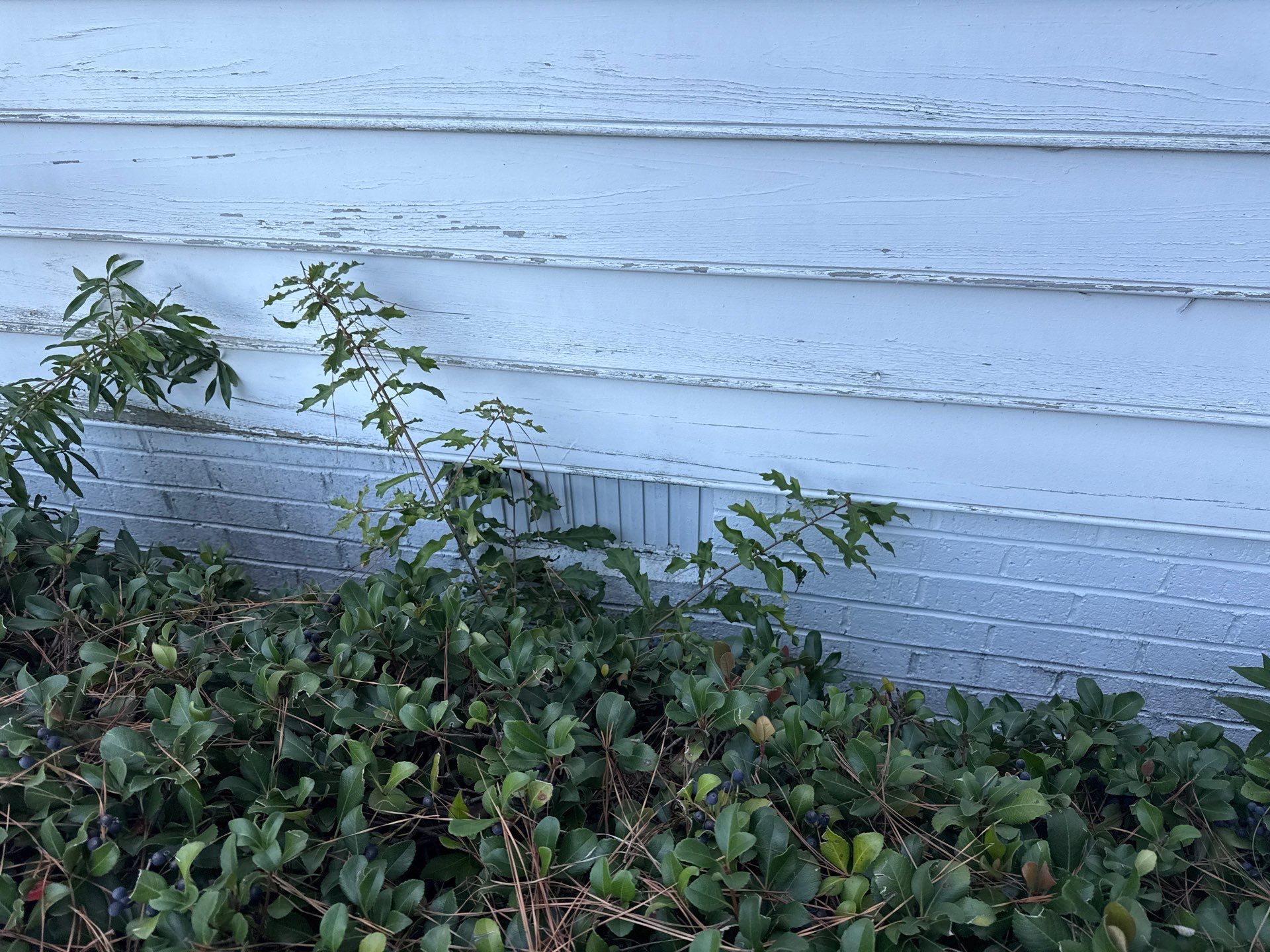 Project in Portsmouth by Patriot Crawl Space Repairs