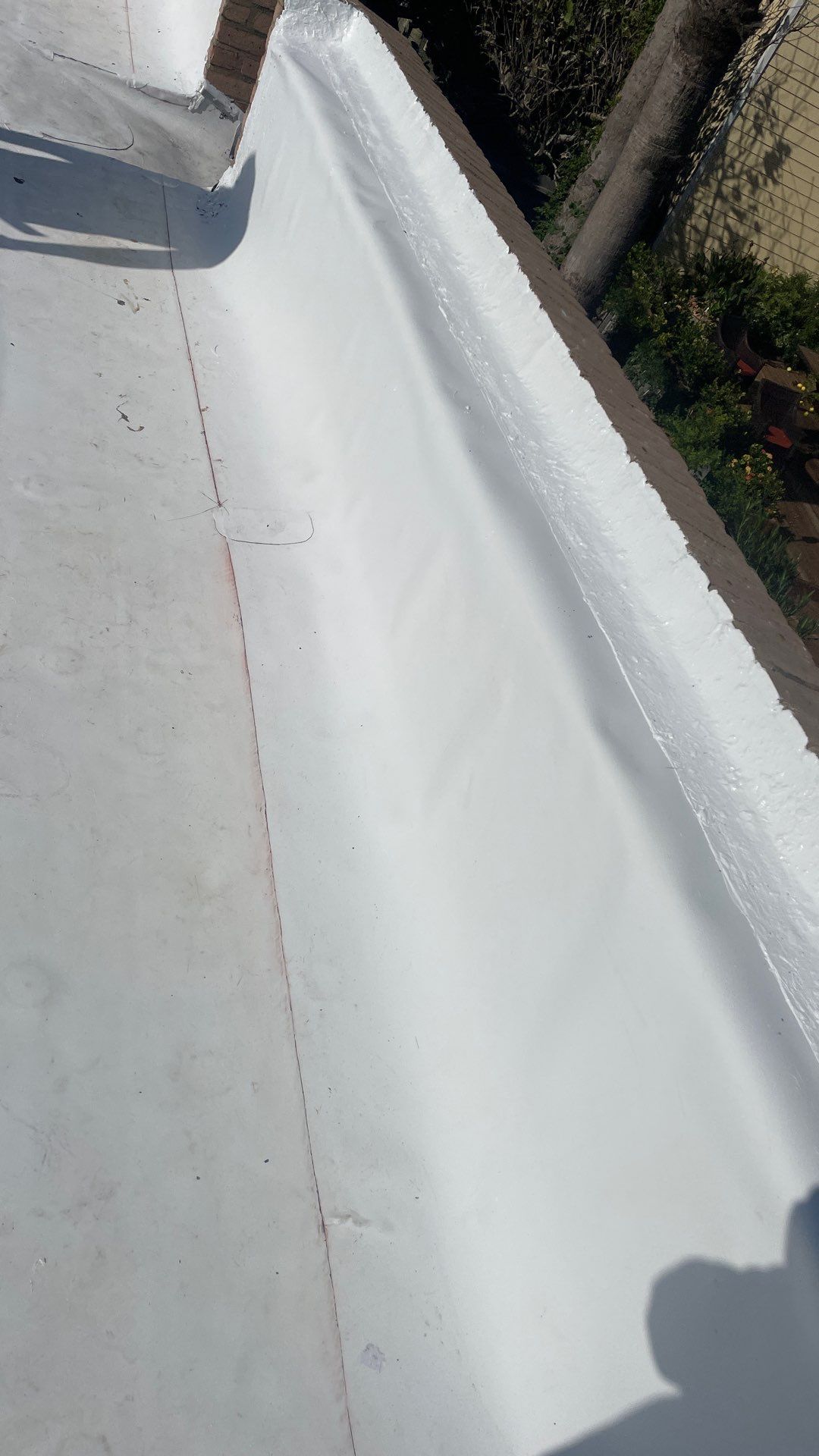 Problems in Paradise  by Bayfront Roofing and Construction