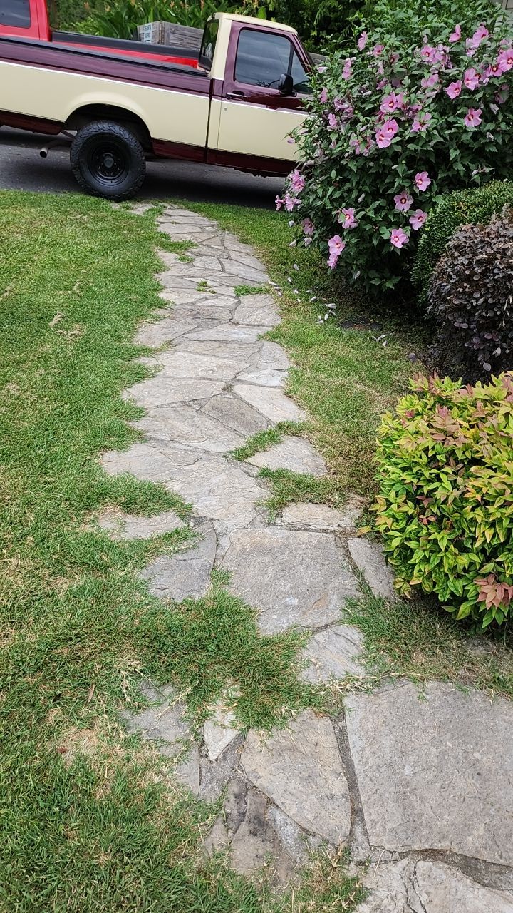 House Wash using cleaner by Power Wash Masters LLC