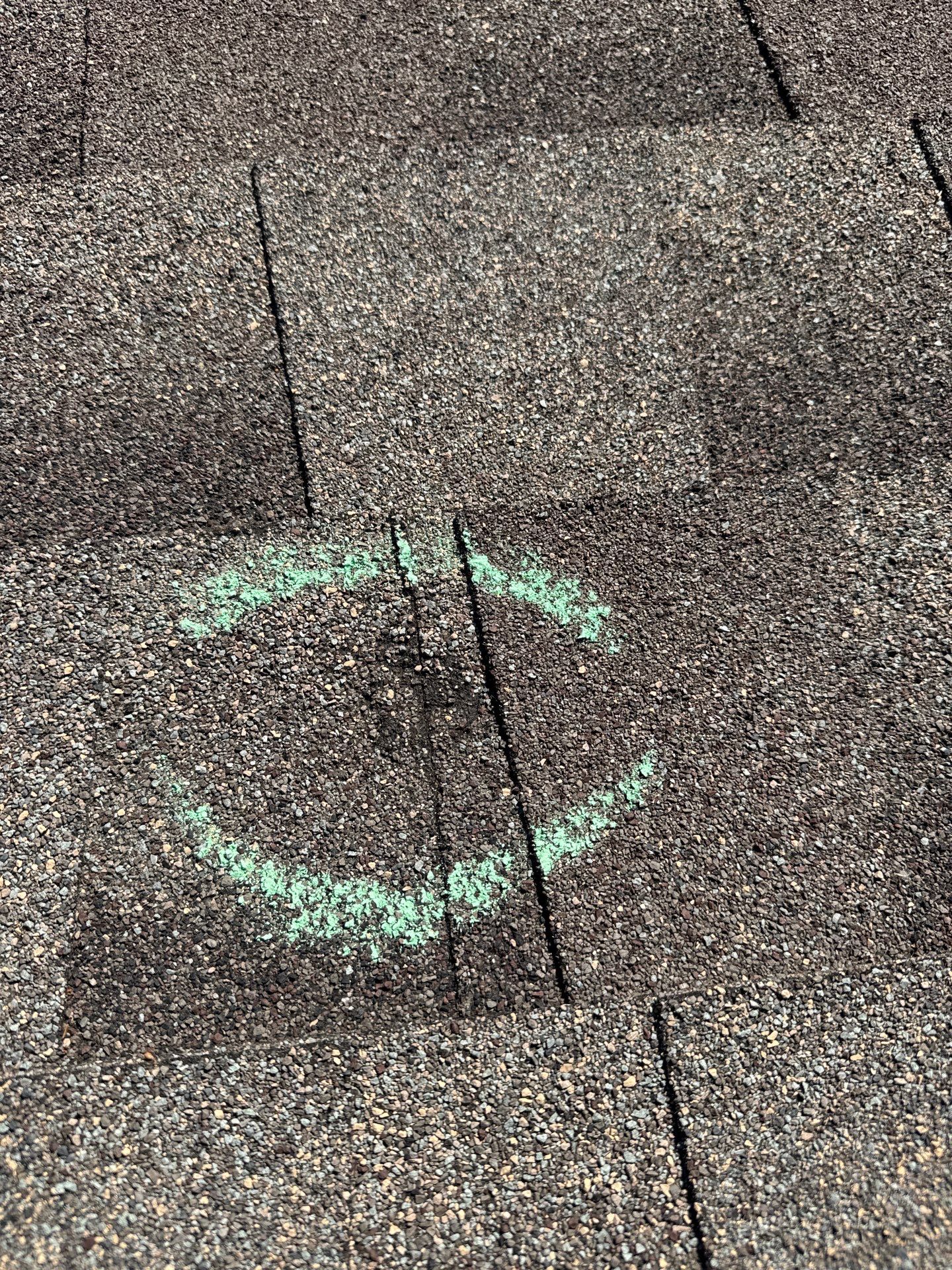 Debbie T by Boss Hogg Roofing