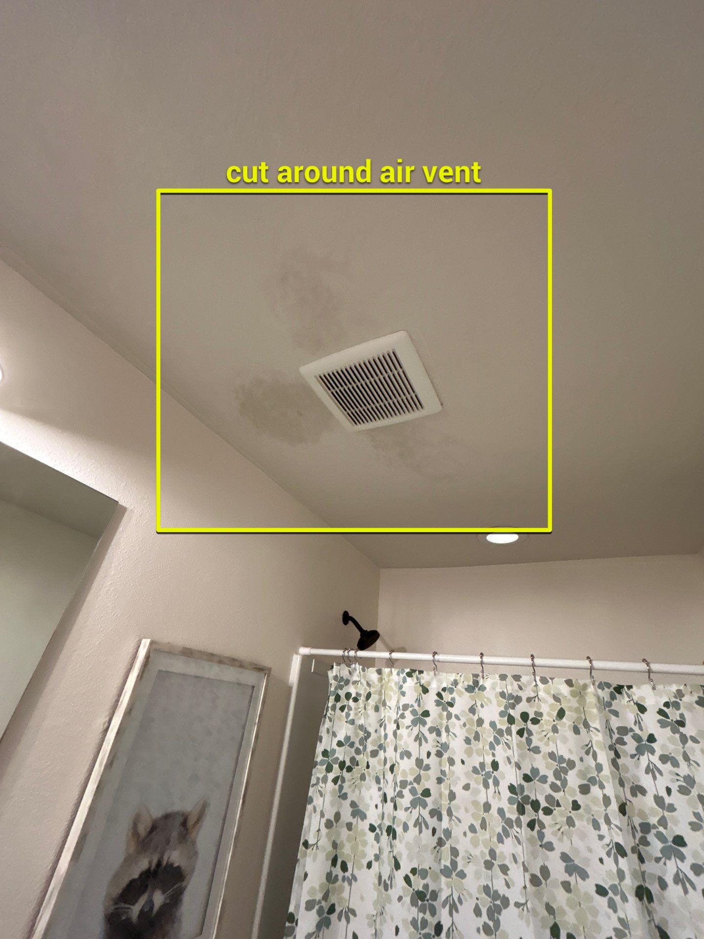 Palmetto Mold Removal & Repair by Ampm Restoration Services