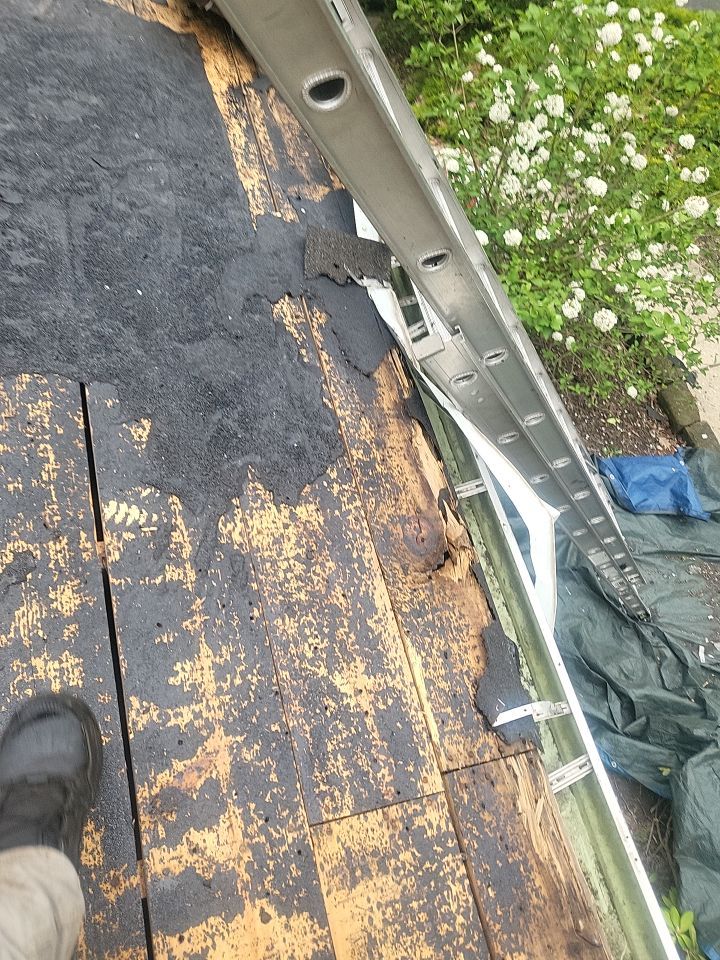 ATLAS PINNACLE COLOR: HEARTHSTONE DRIP EDGE: WHITE by Eagle Eye Roofing