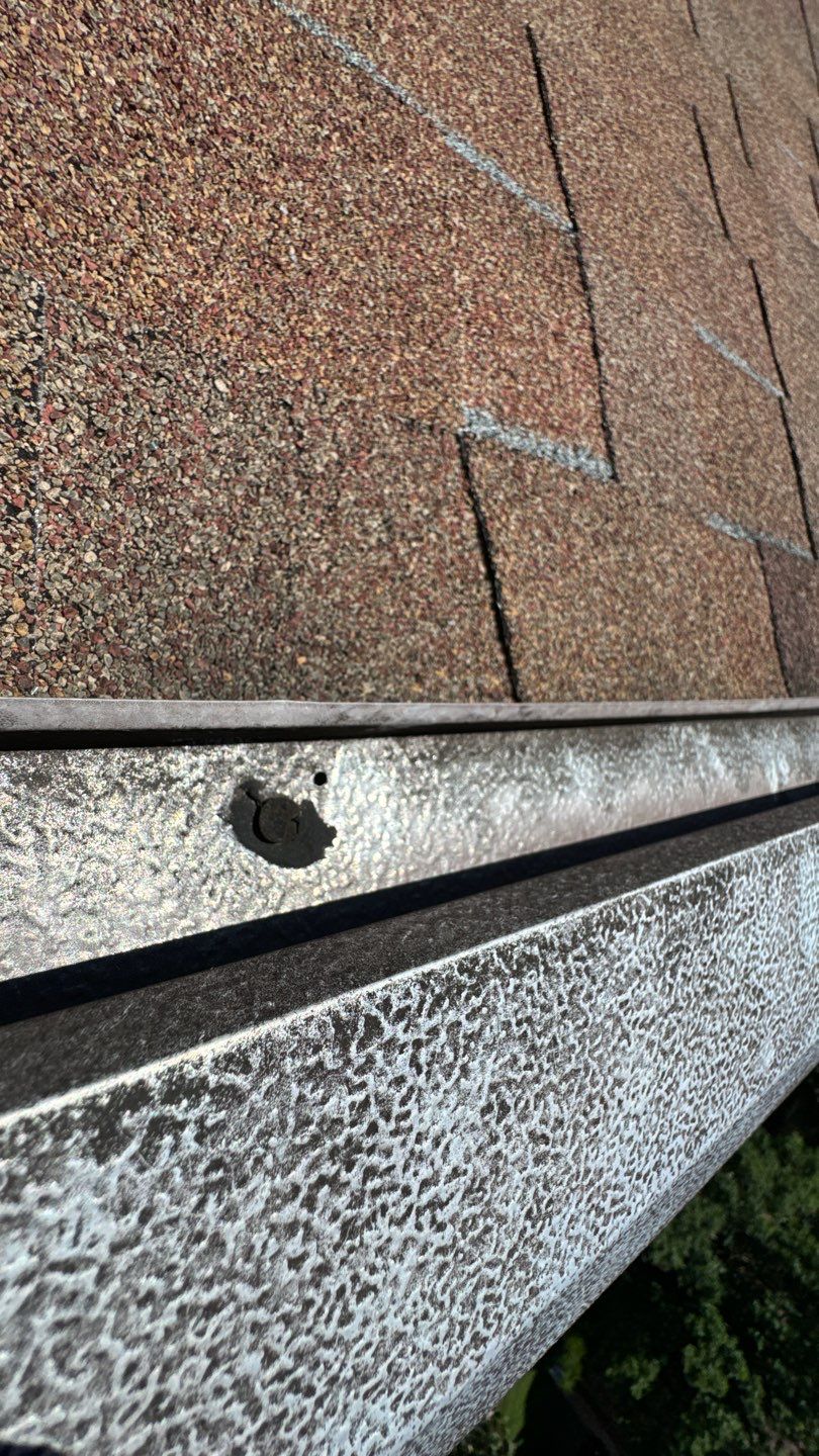 Alexandria: Roof Replacement with CertainTeed Landmark Pro in Max Def Burnt Sienna by RM Banning, Inc.