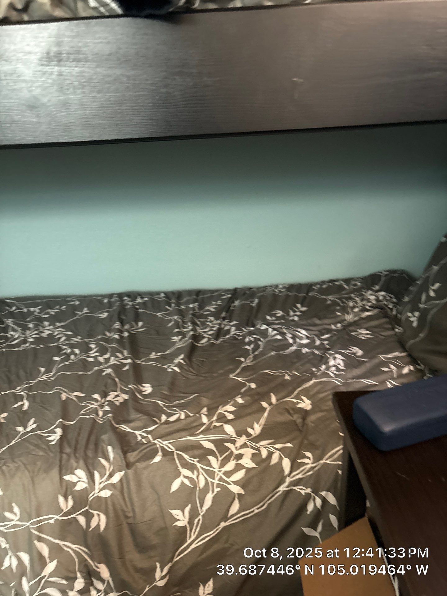 Joness Backyard by CompanyCam Sales Demo