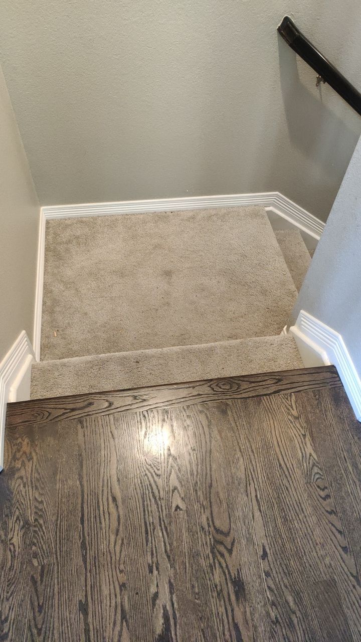 Mold Remediation  by Accountable Home Services