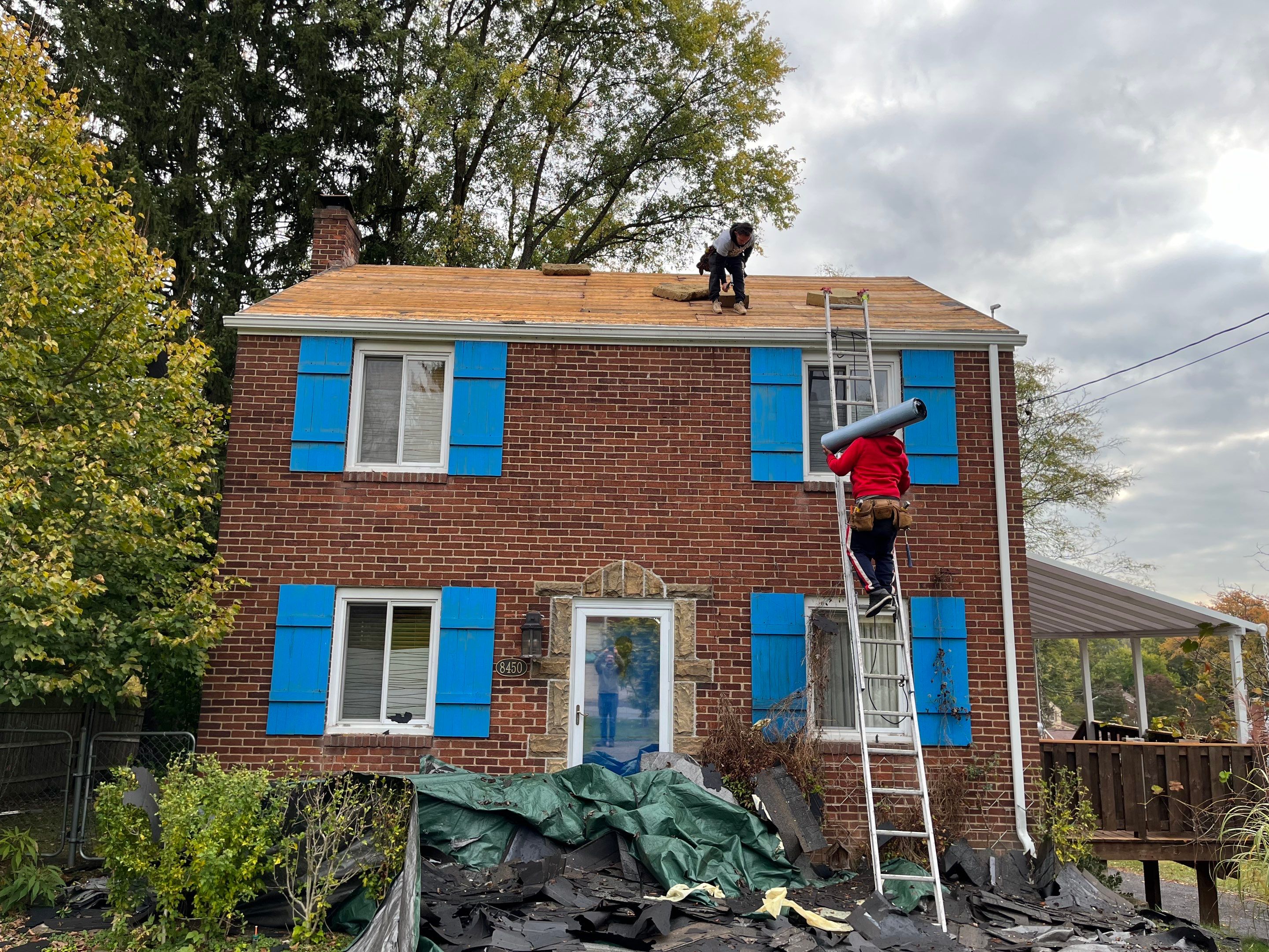 Silver Birch Shingles by Reimagine Roofing